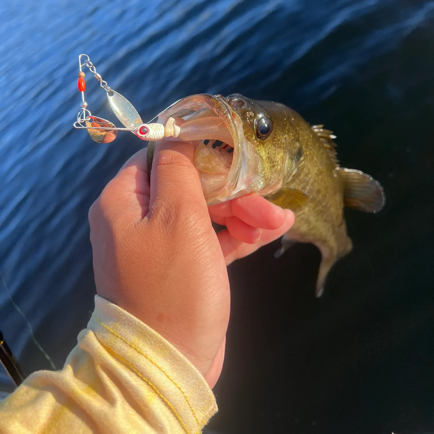 Largemouth bass caught on Fishbrain