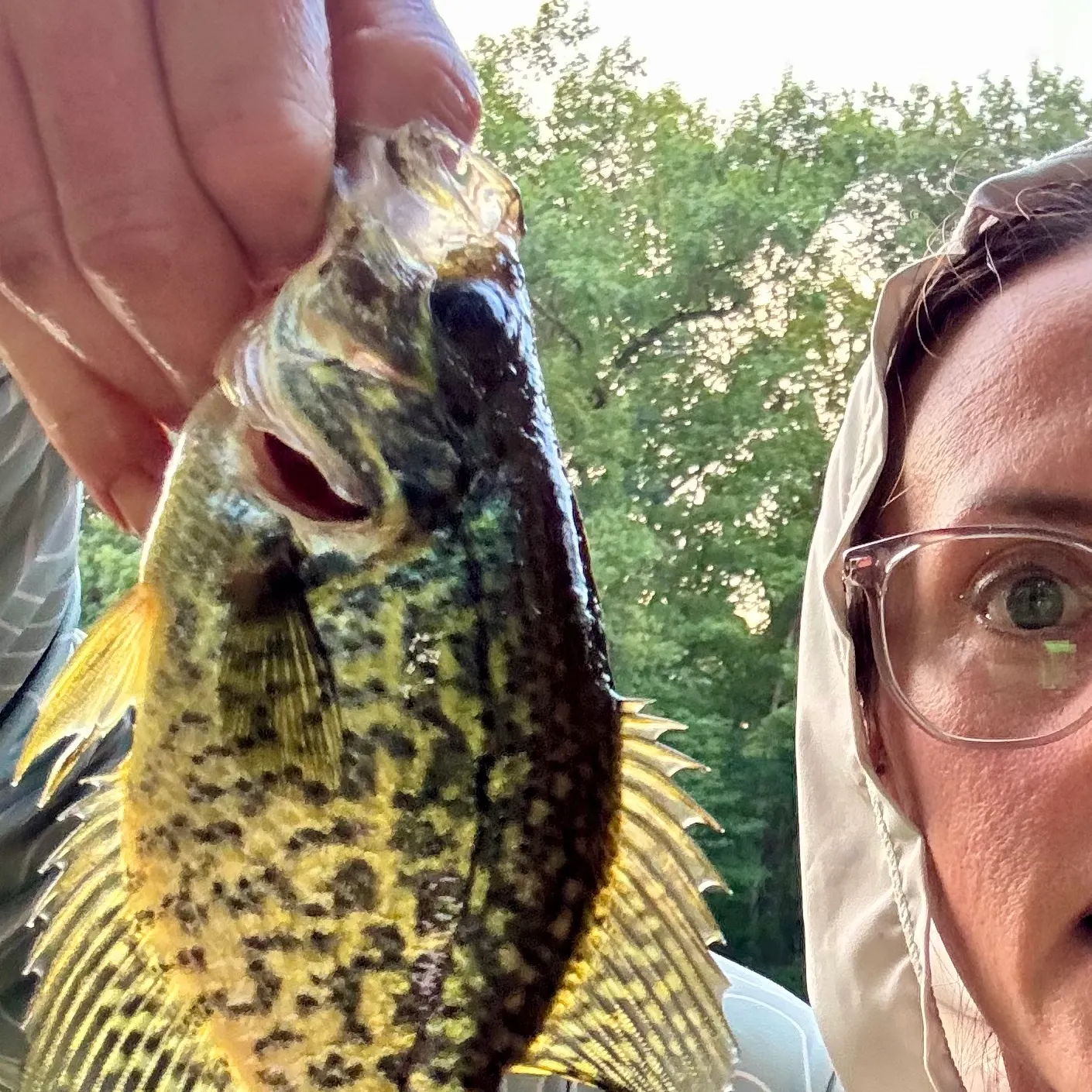 Black crappie caught on Fishbrain