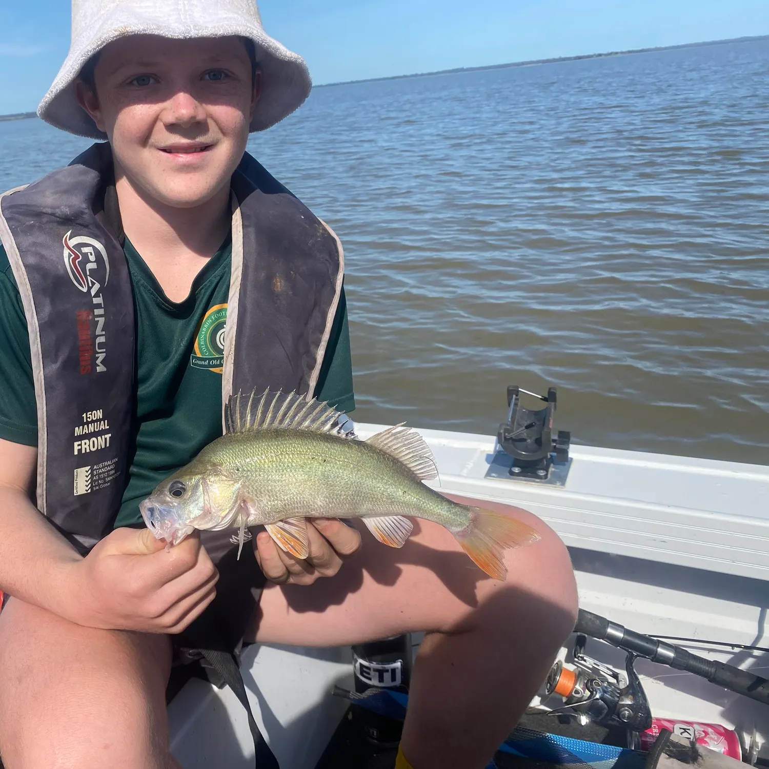 European perch caught on Fishbrain