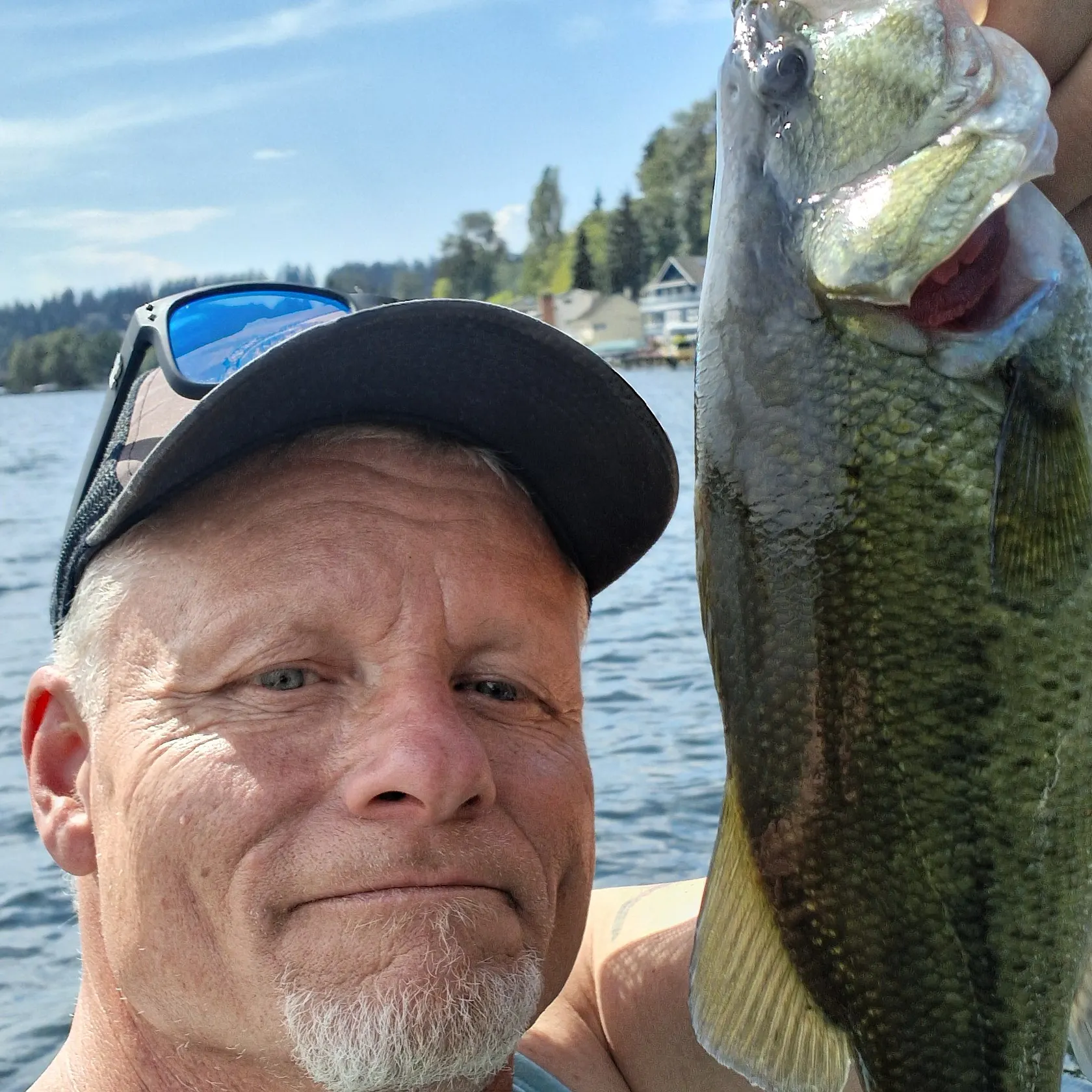 Largemouth bass caught on Fishbrain