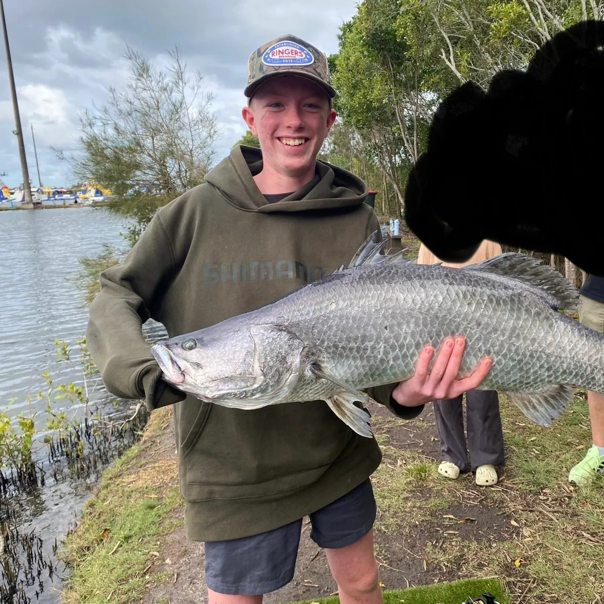 The most recent Barramundi catches on Fishbrain