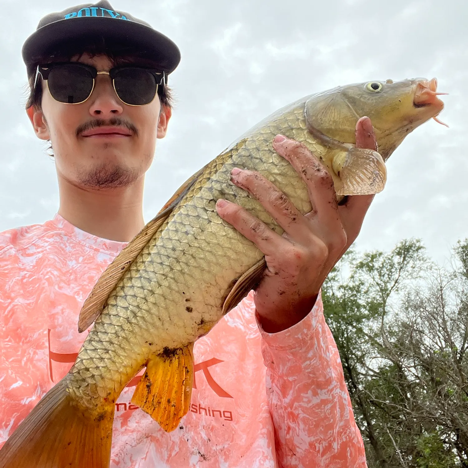 Common carp caught on Fishbrain