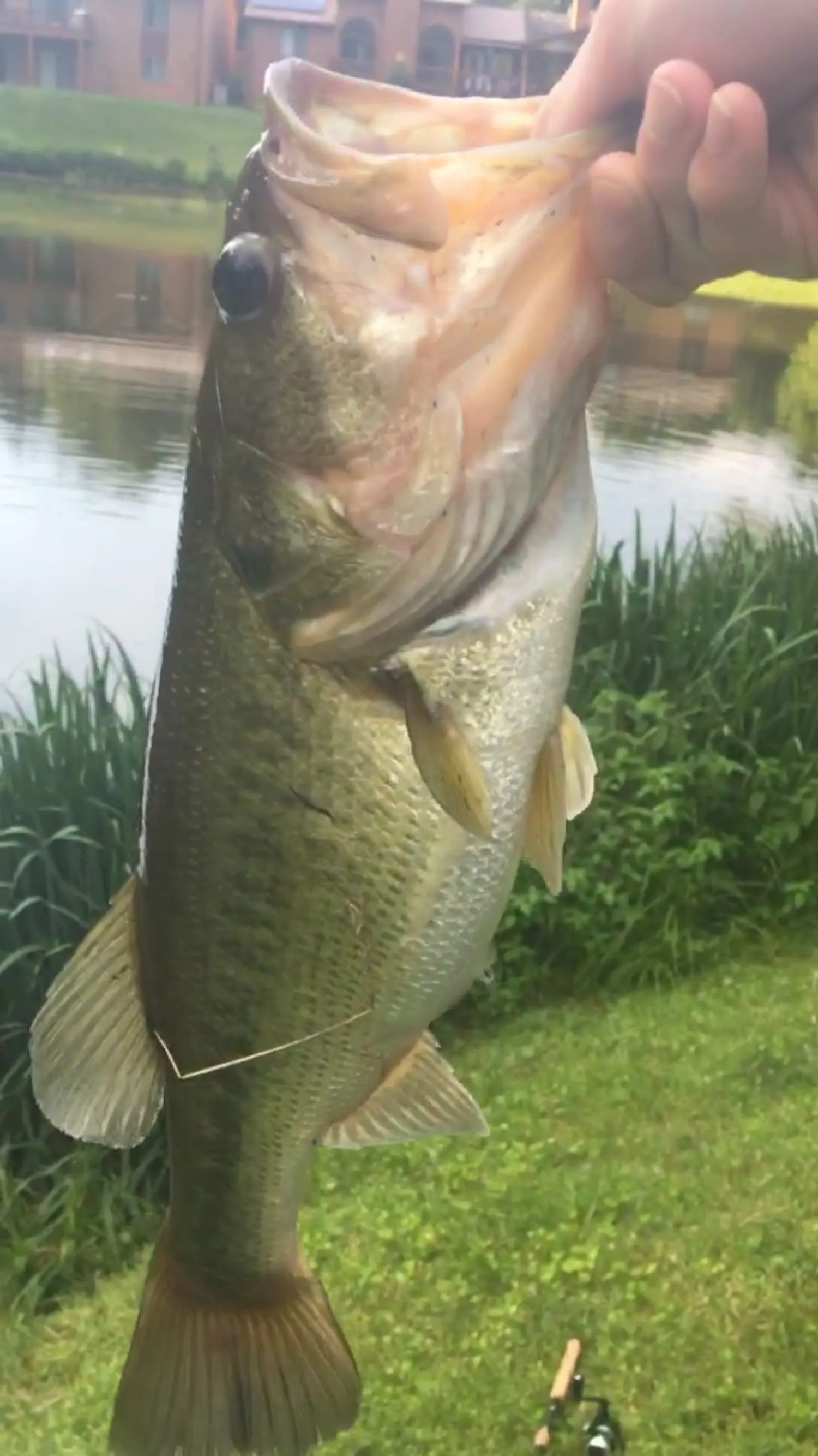 Post image from jwordock