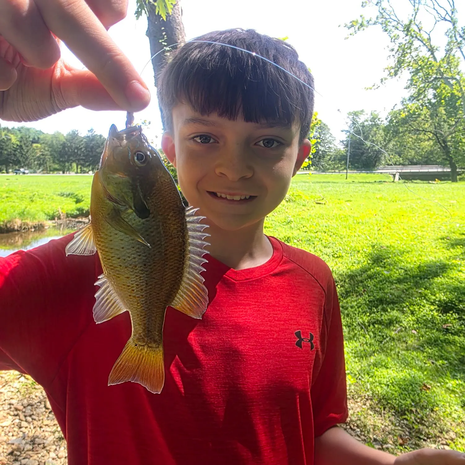 Redbreast sunfish caught on Fishbrain