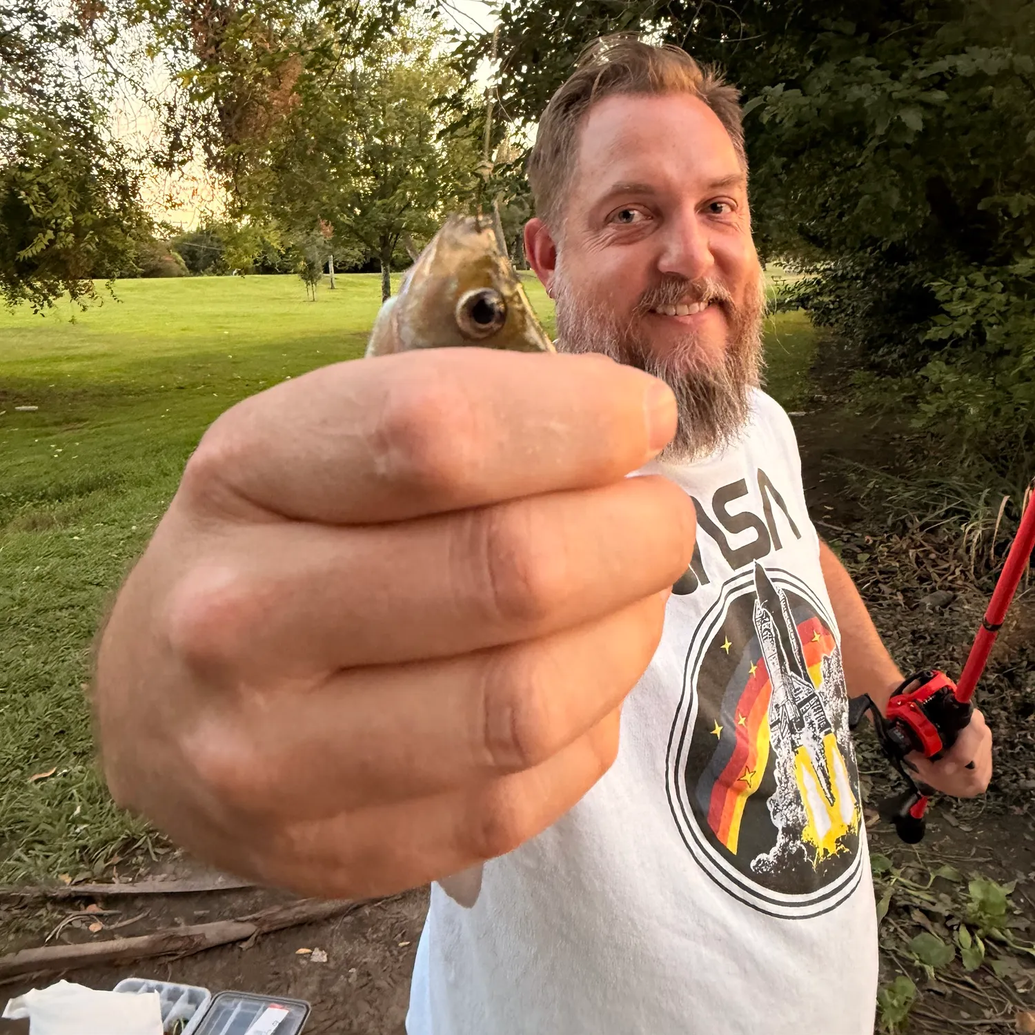 Bluegill caught on Fishbrain