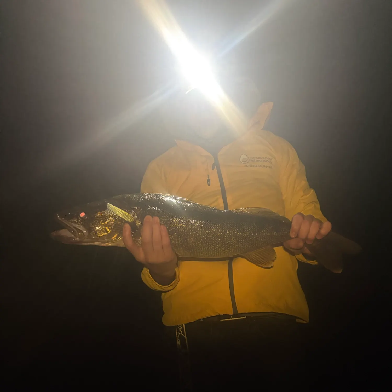Walleye caught on Fishbrain