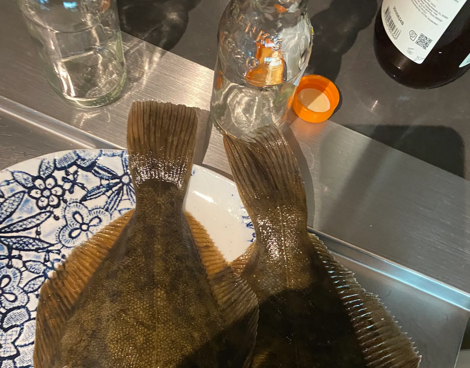 New Zealand flounder