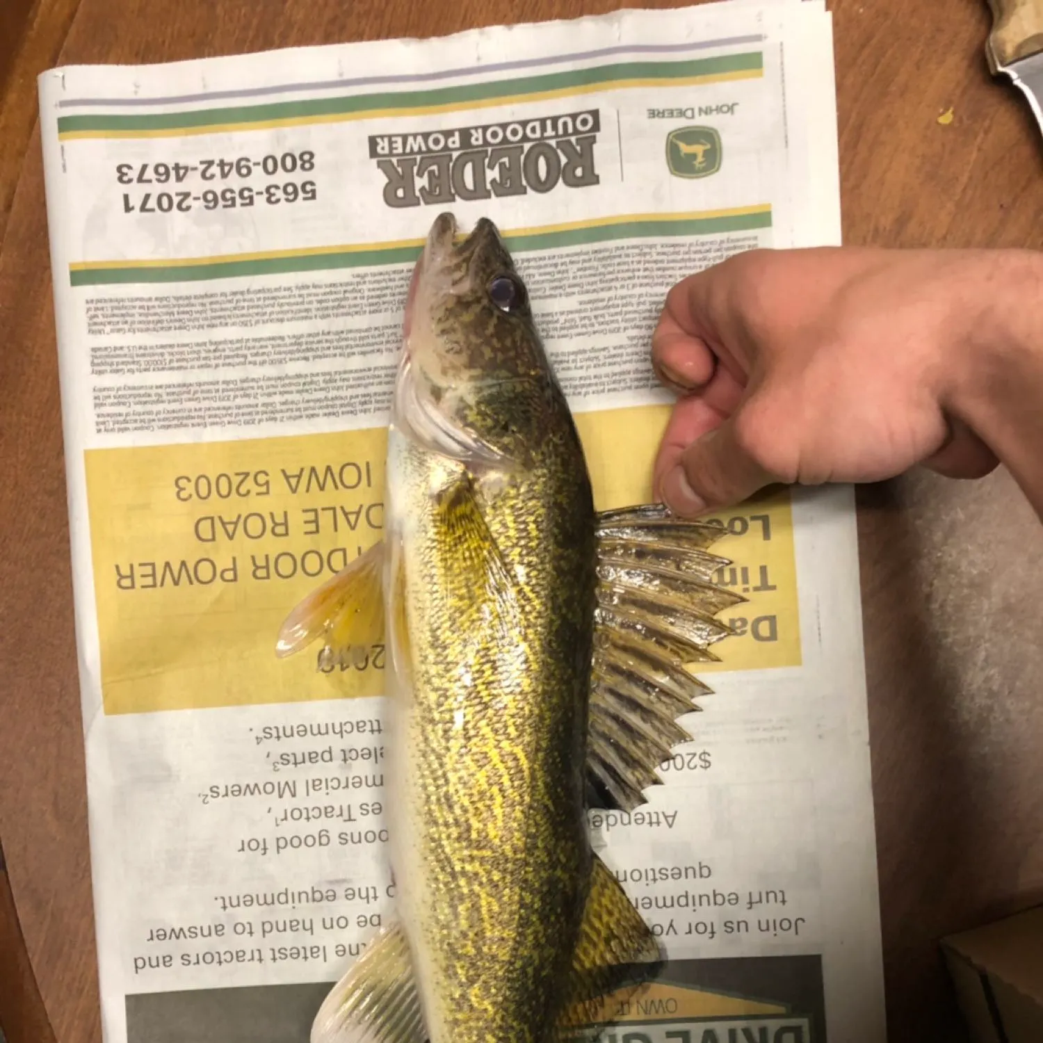 recently logged catches