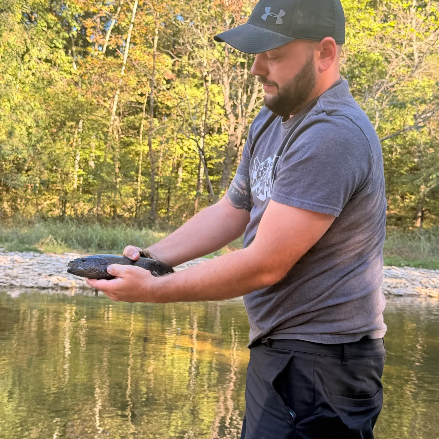 Rainbow trout caught on Fishbrain