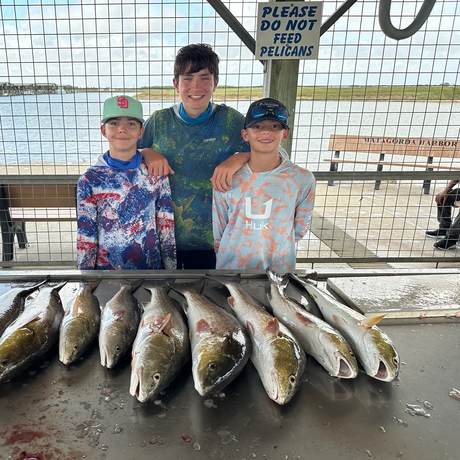 Red drum caught on Fishbrain