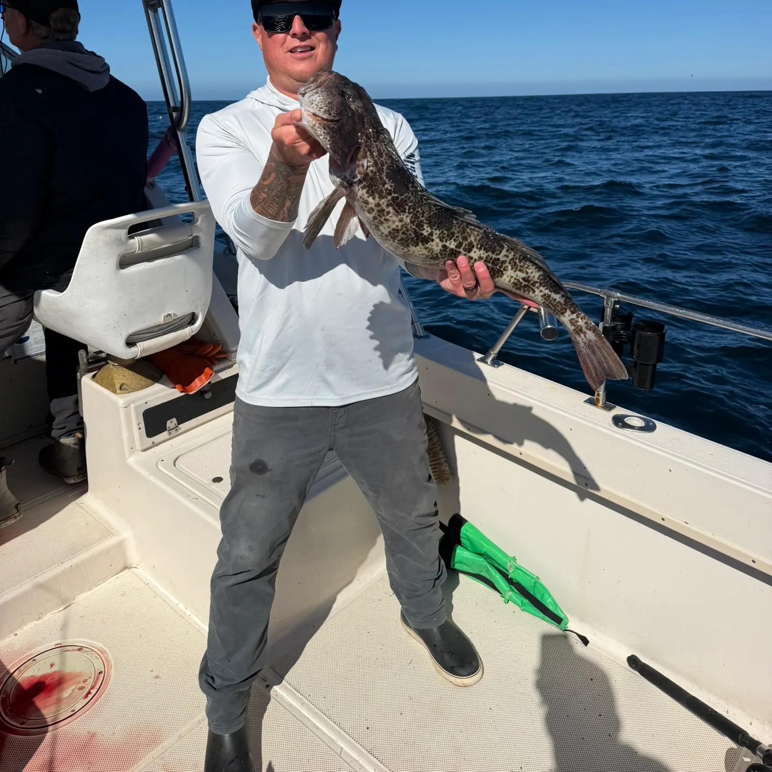 The most recent Lingcod catches on Fishbrain