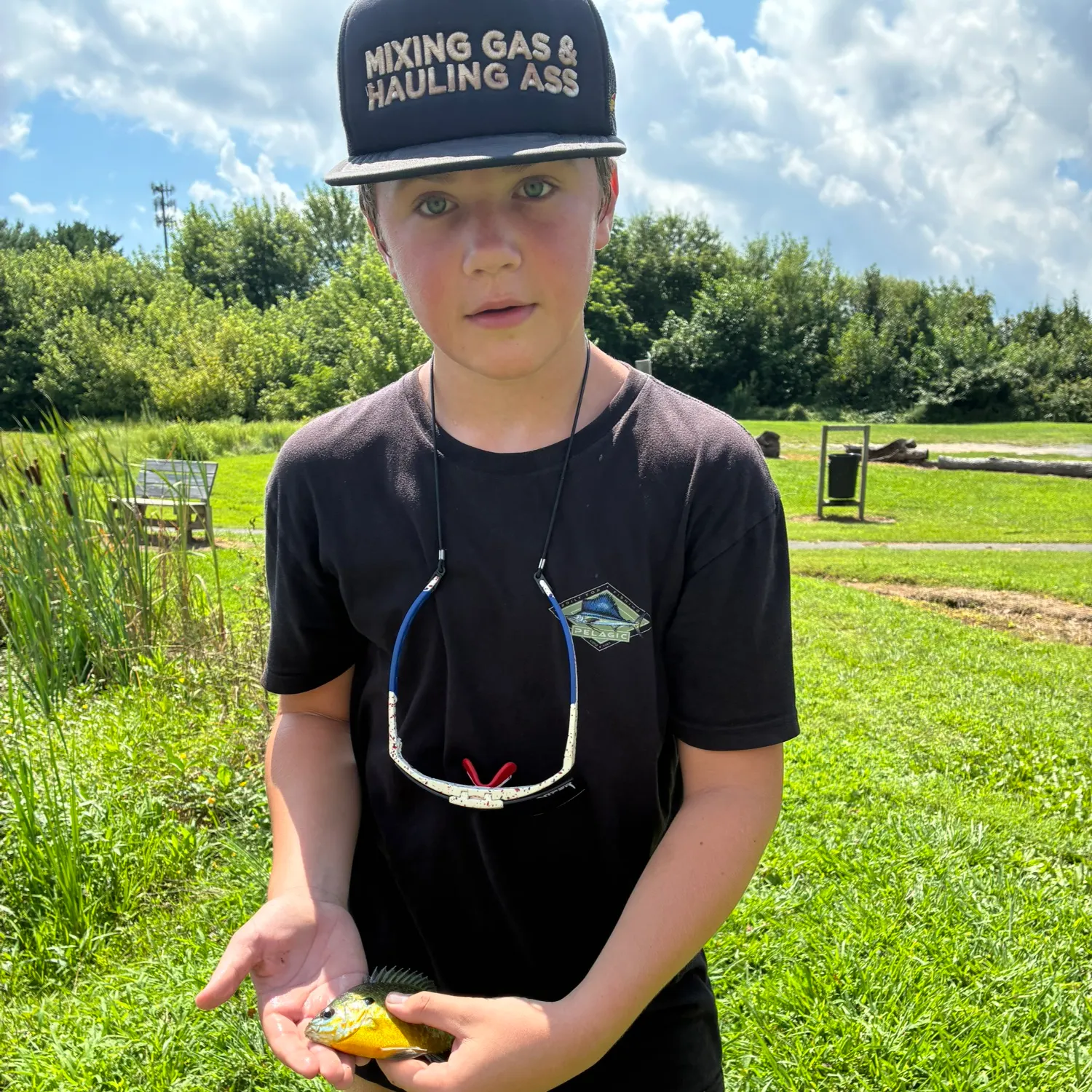 Bluegill caught on Fishbrain