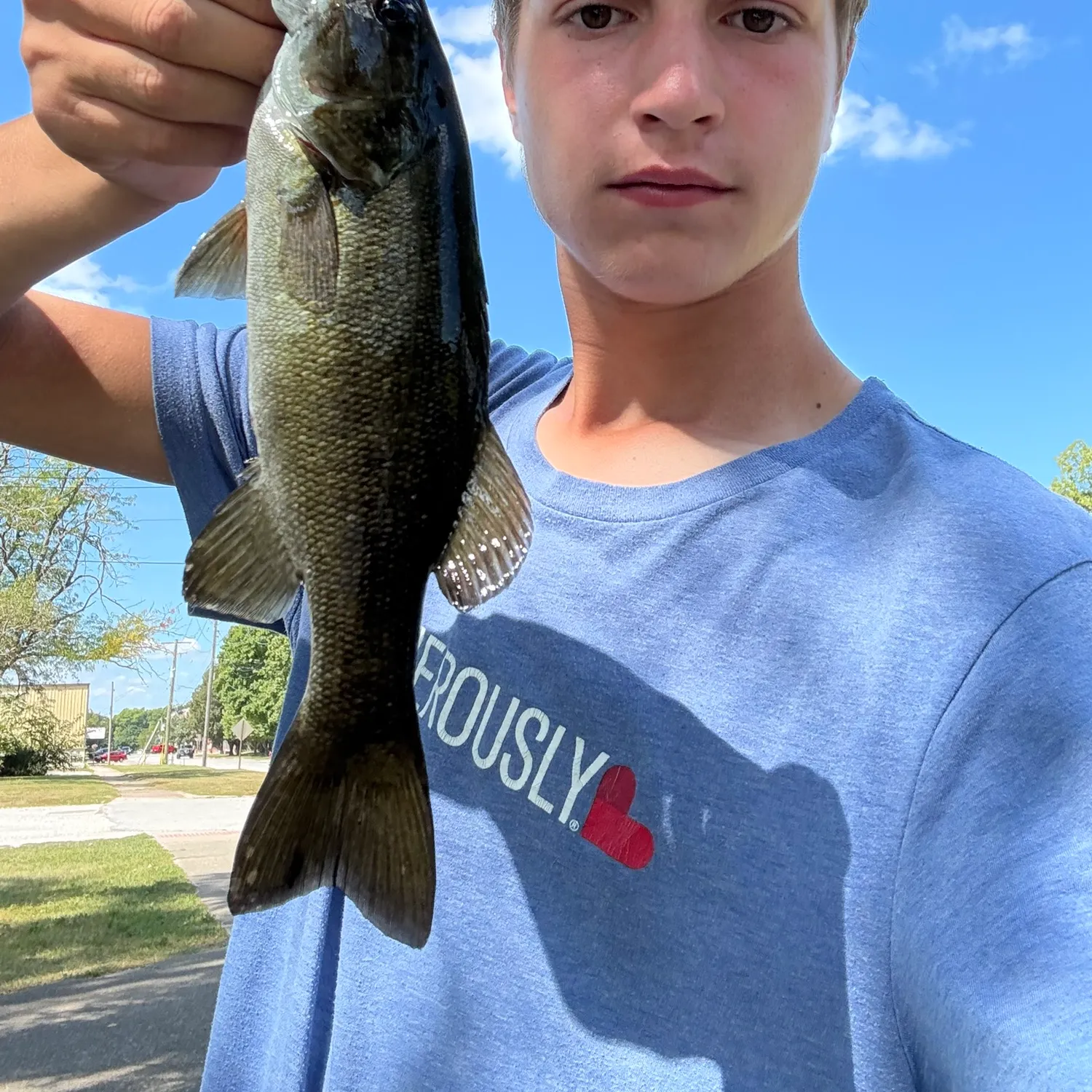 Smallmouth bass caught on Fishbrain