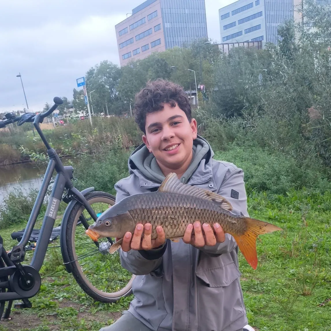 Common carp caught on Fishbrain