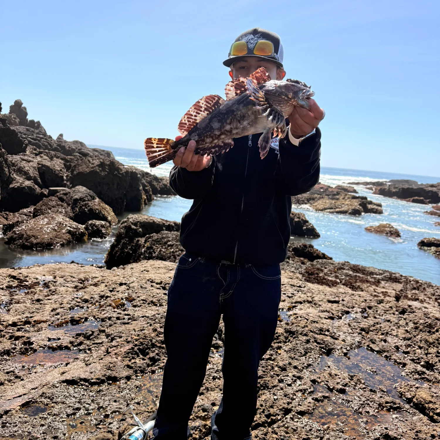 The most recent Cabezon catches on Fishbrain