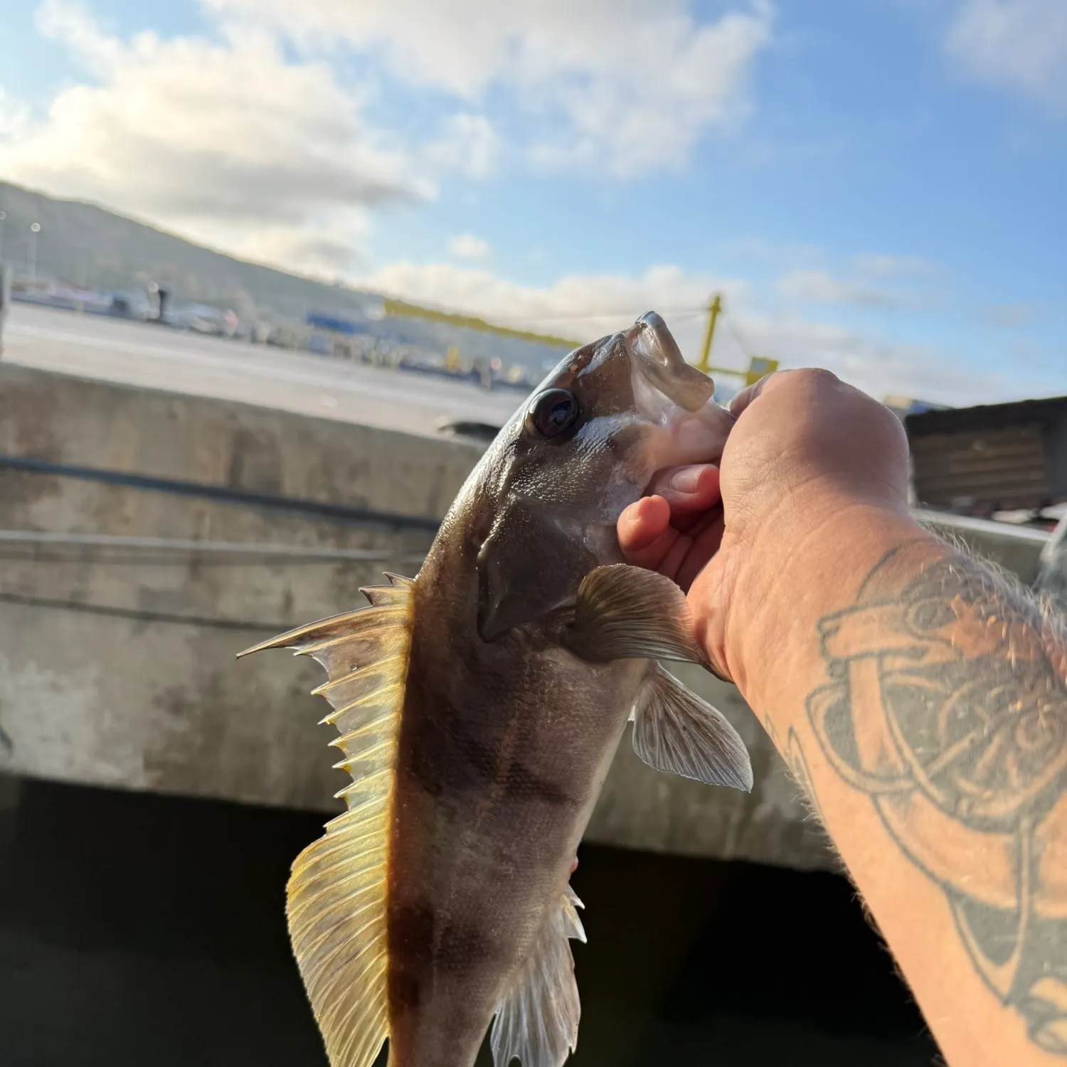 catch