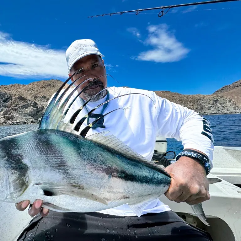 The most recent Roosterfish catches on Fishbrain