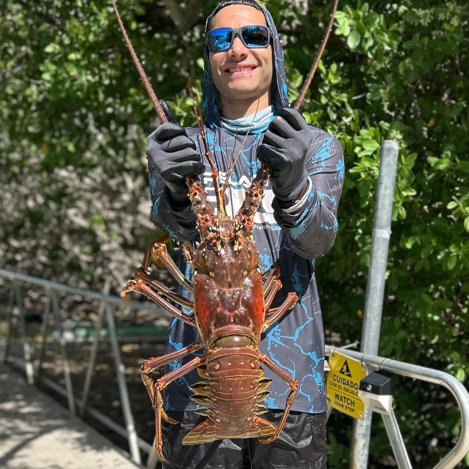 The most recent Caribbean spiny lobster catches on Fishbrain