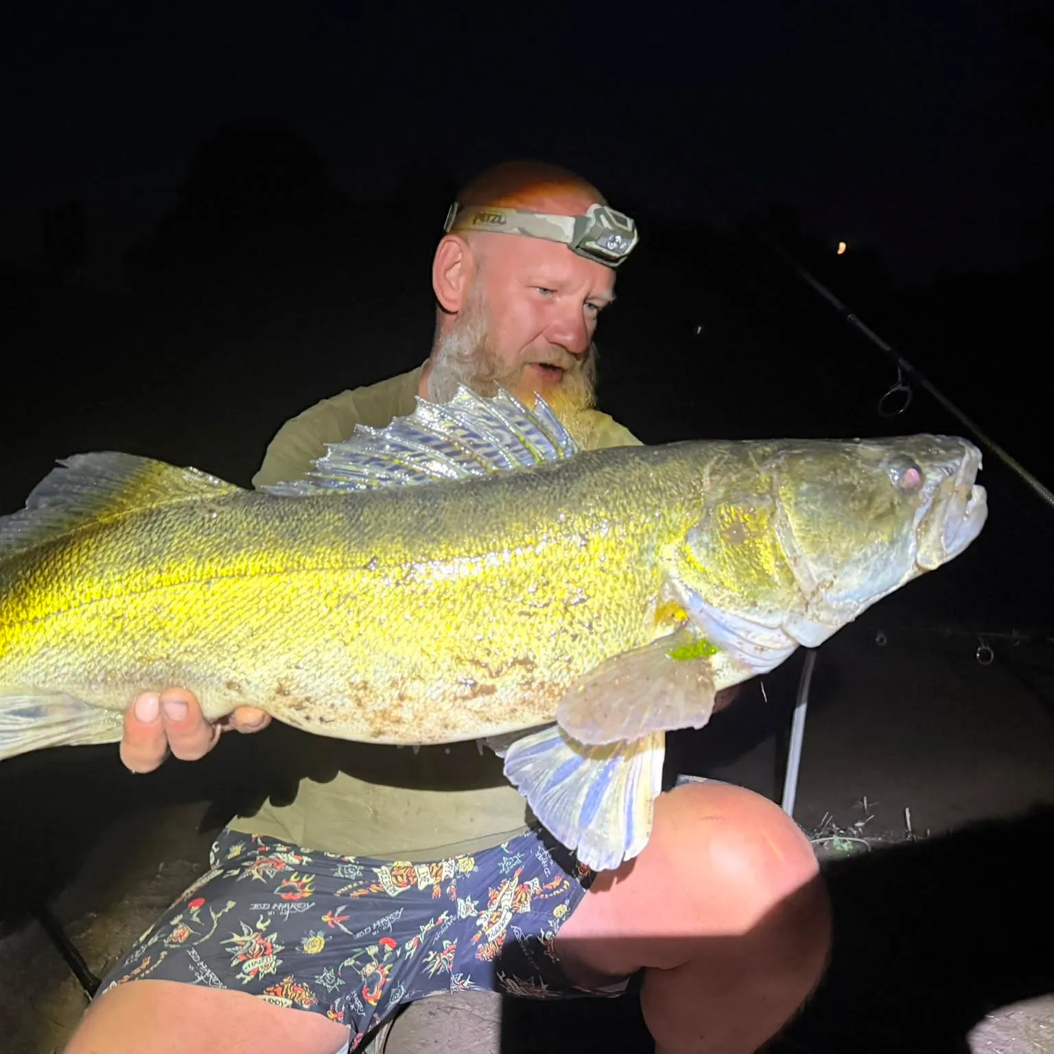 The most recent Zander catches on Fishbrain