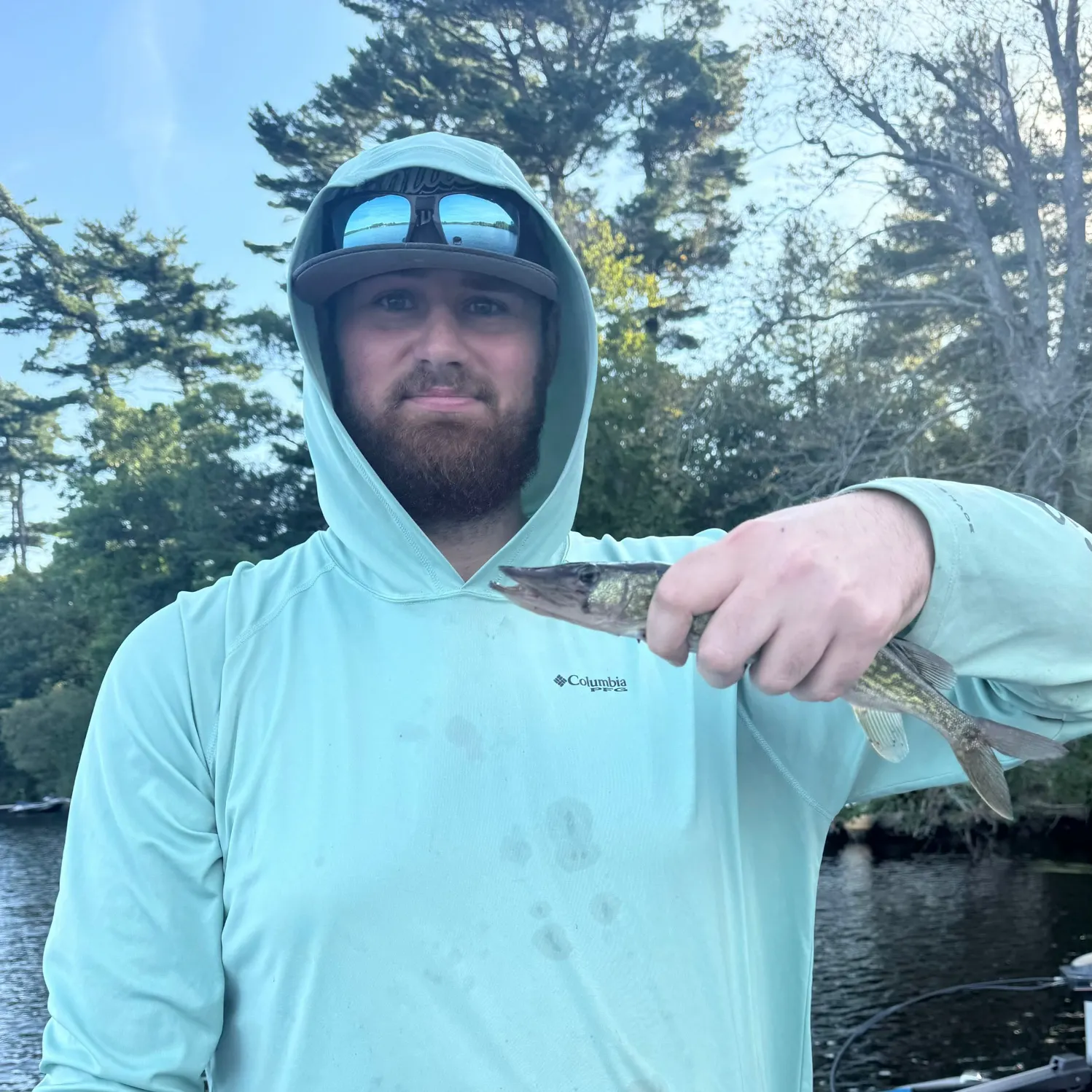 Chain pickerel caught on Fishbrain