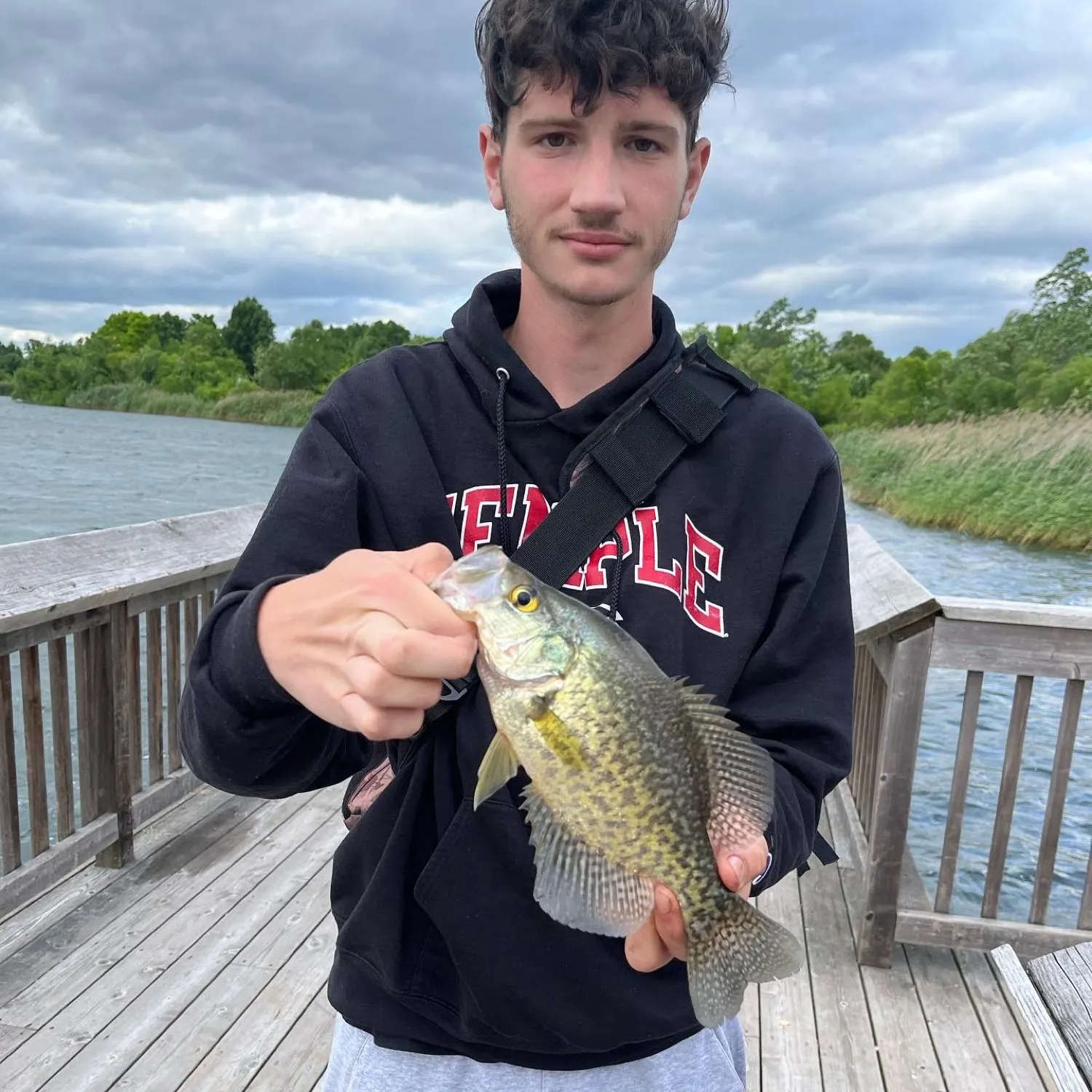 Black crappie caught on Fishbrain