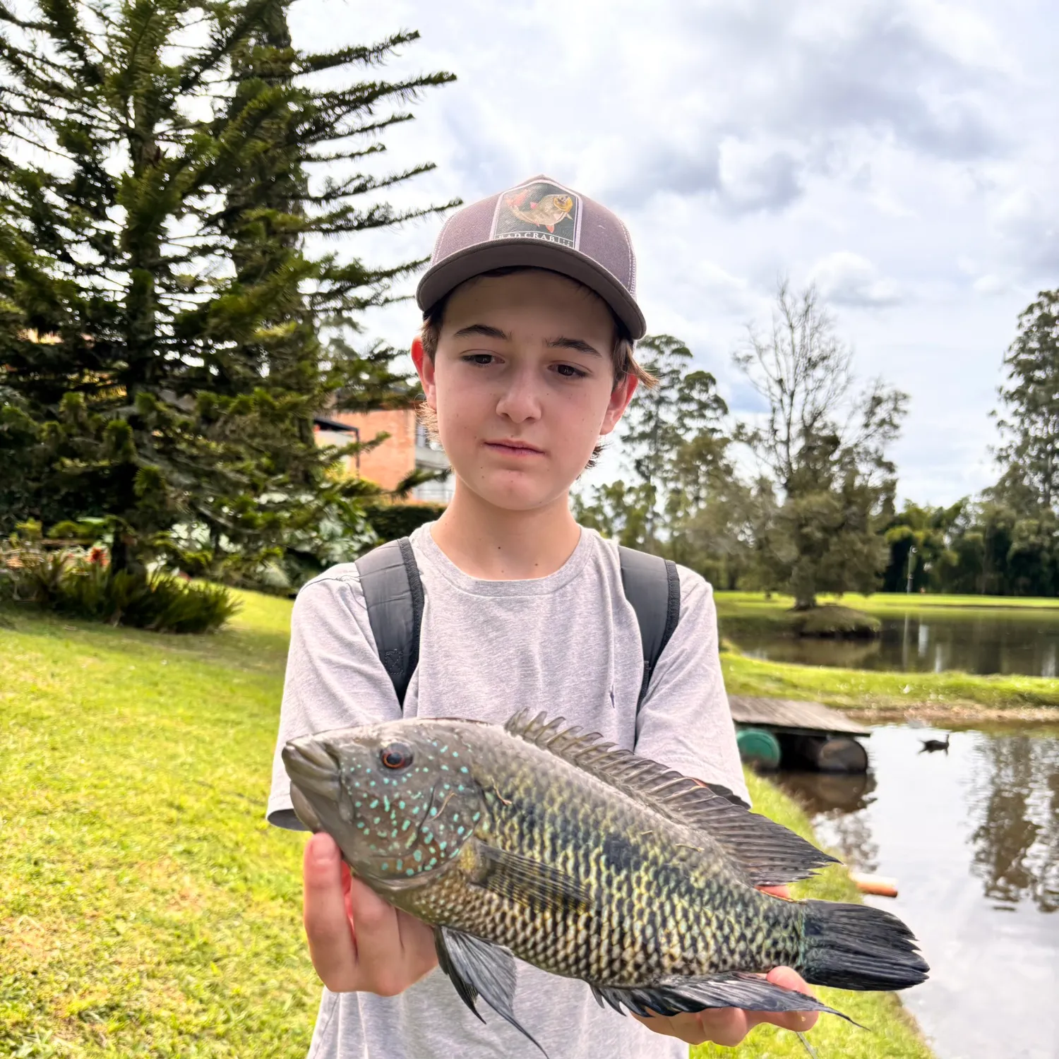The most recent Three spotted tilapia catches on Fishbrain