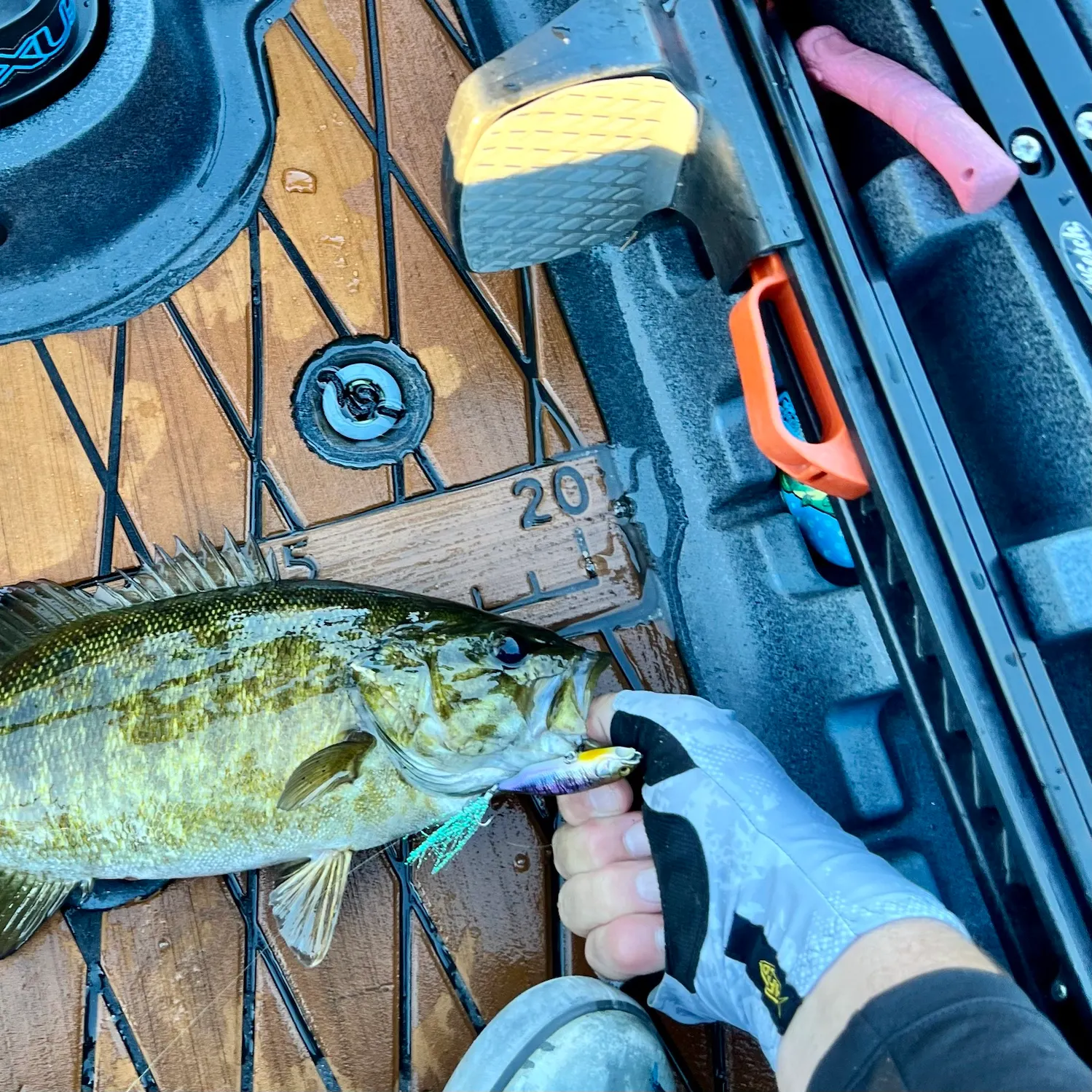 Smallmouth bass caught on Fishbrain