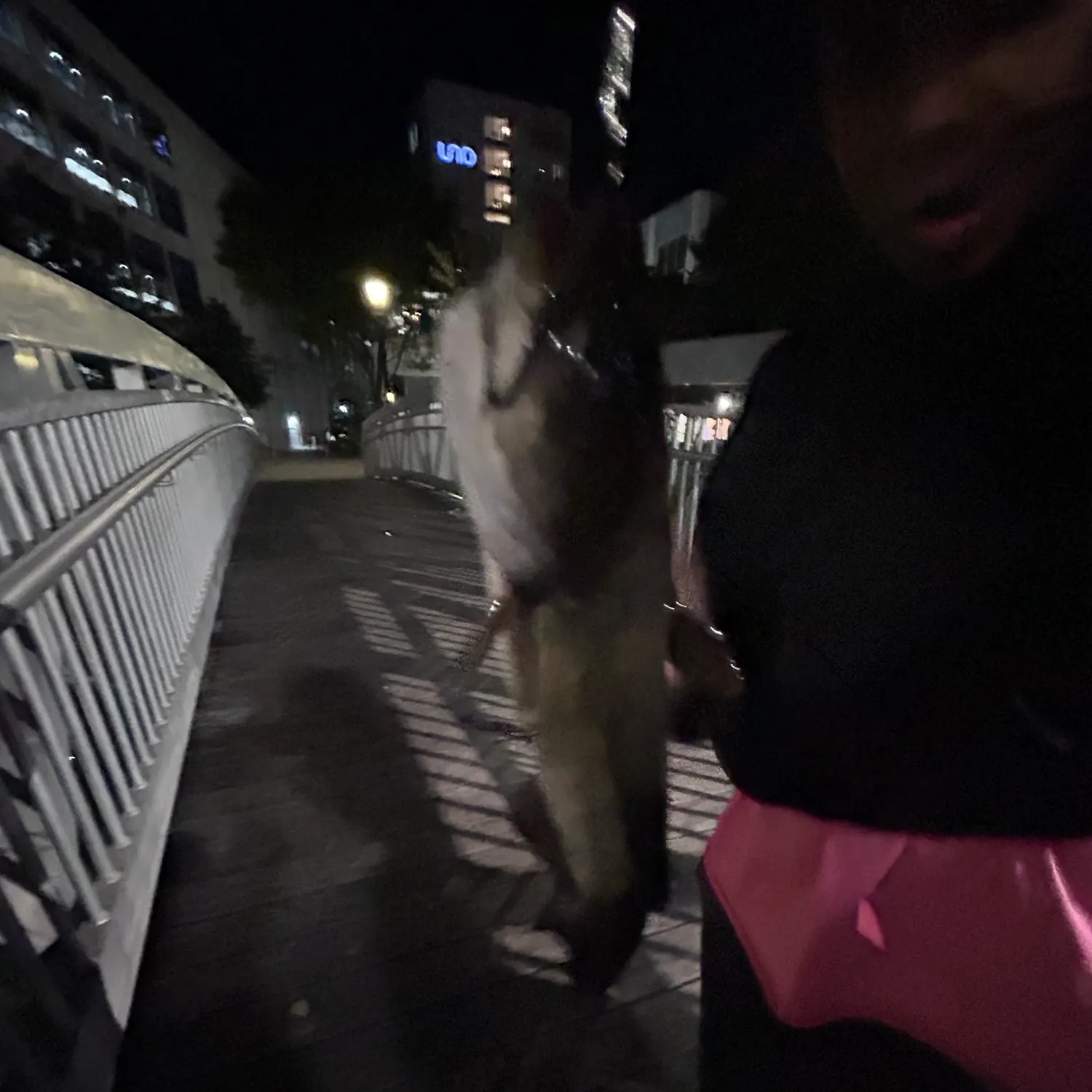 White bullhead caught on Fishbrain