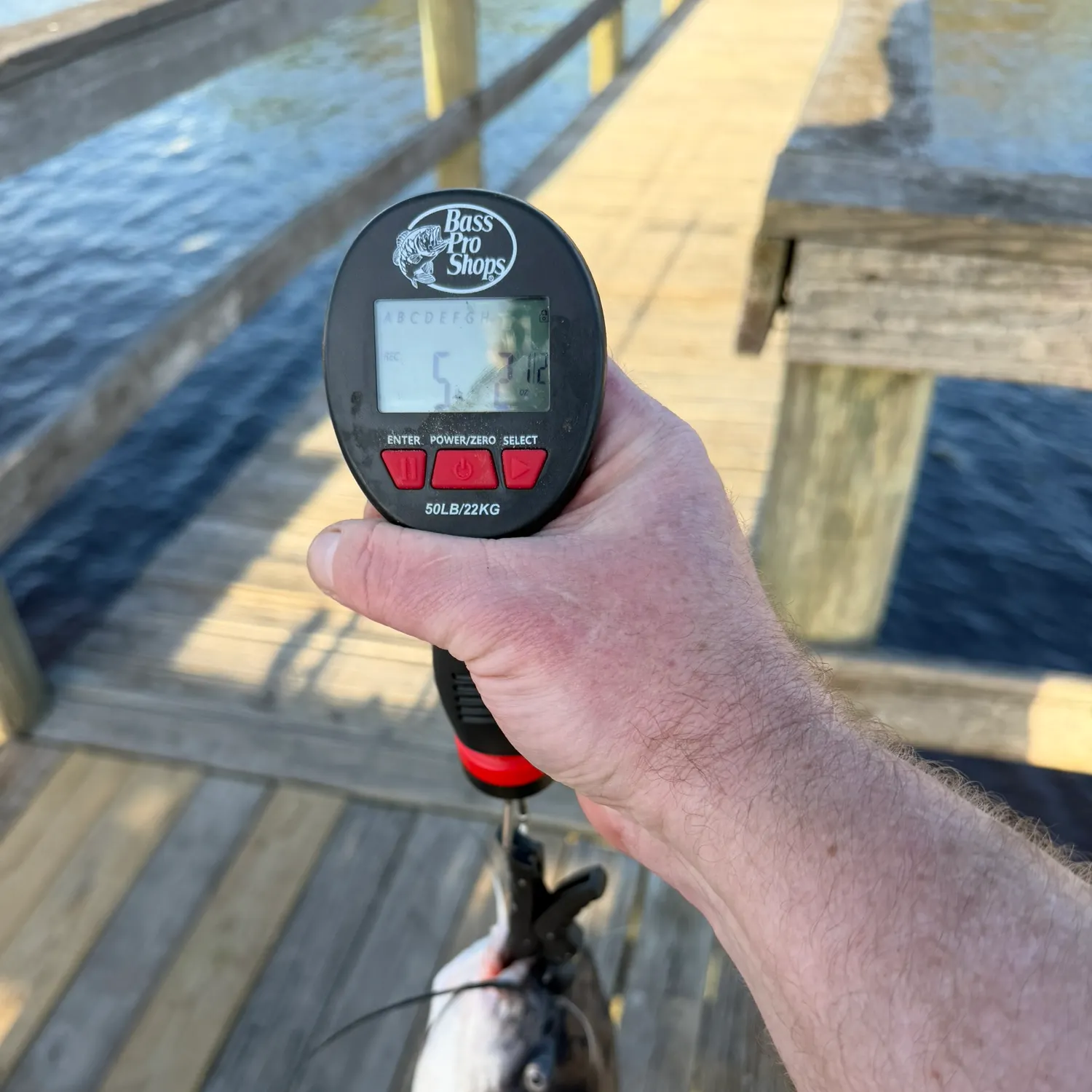 The most recent Channel catfish catches on Fishbrain