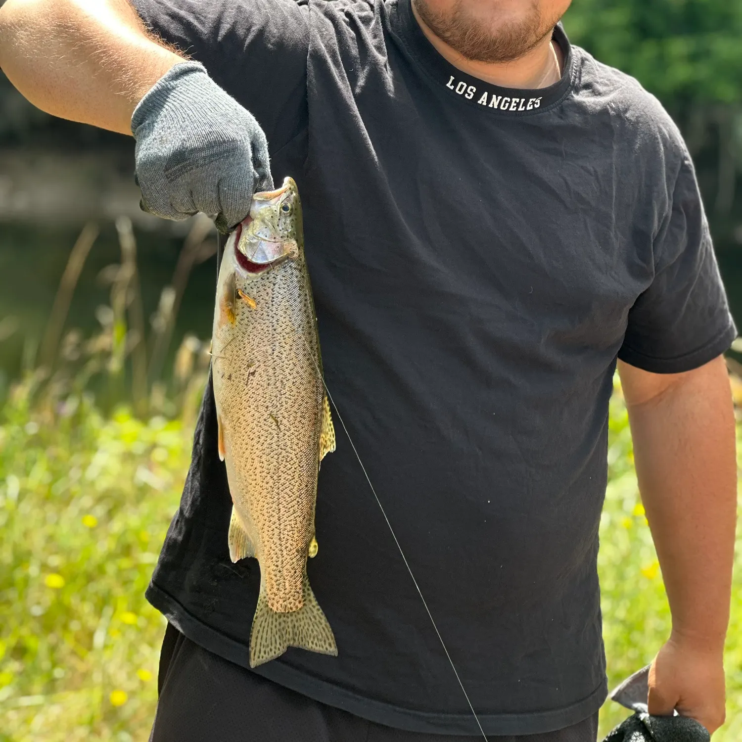 The most recent Rainbow trout catches on Fishbrain