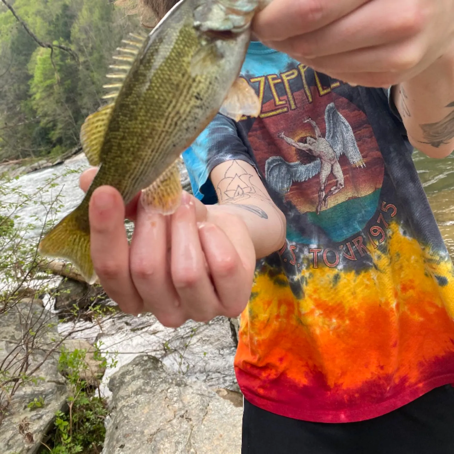 recently logged catches