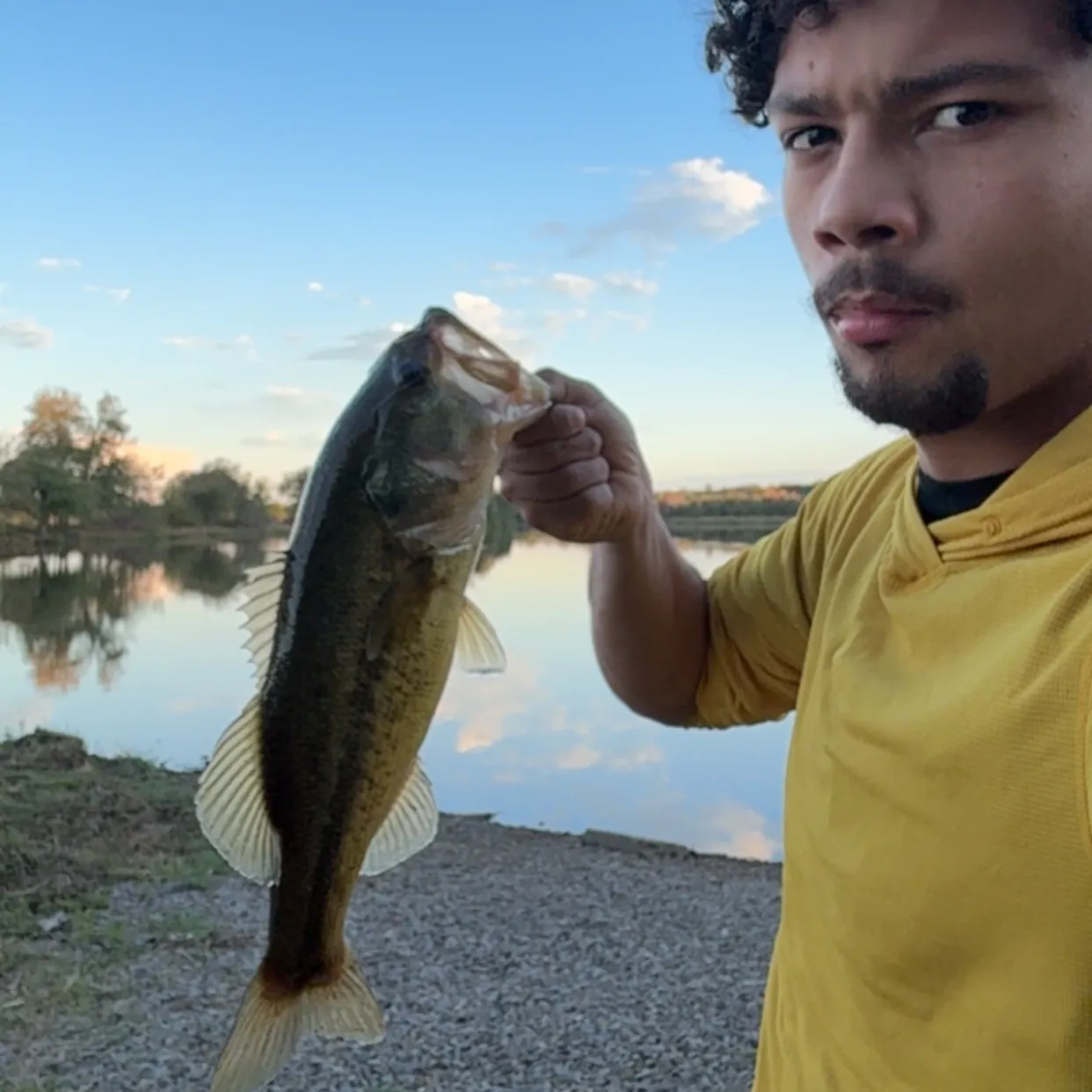 Largemouth bass caught on Fishbrain