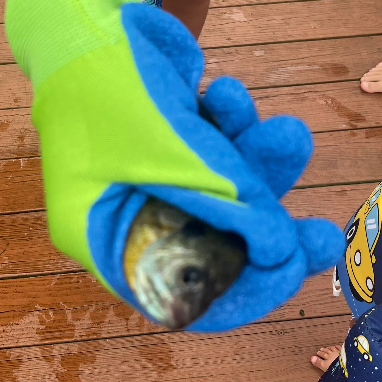 catch