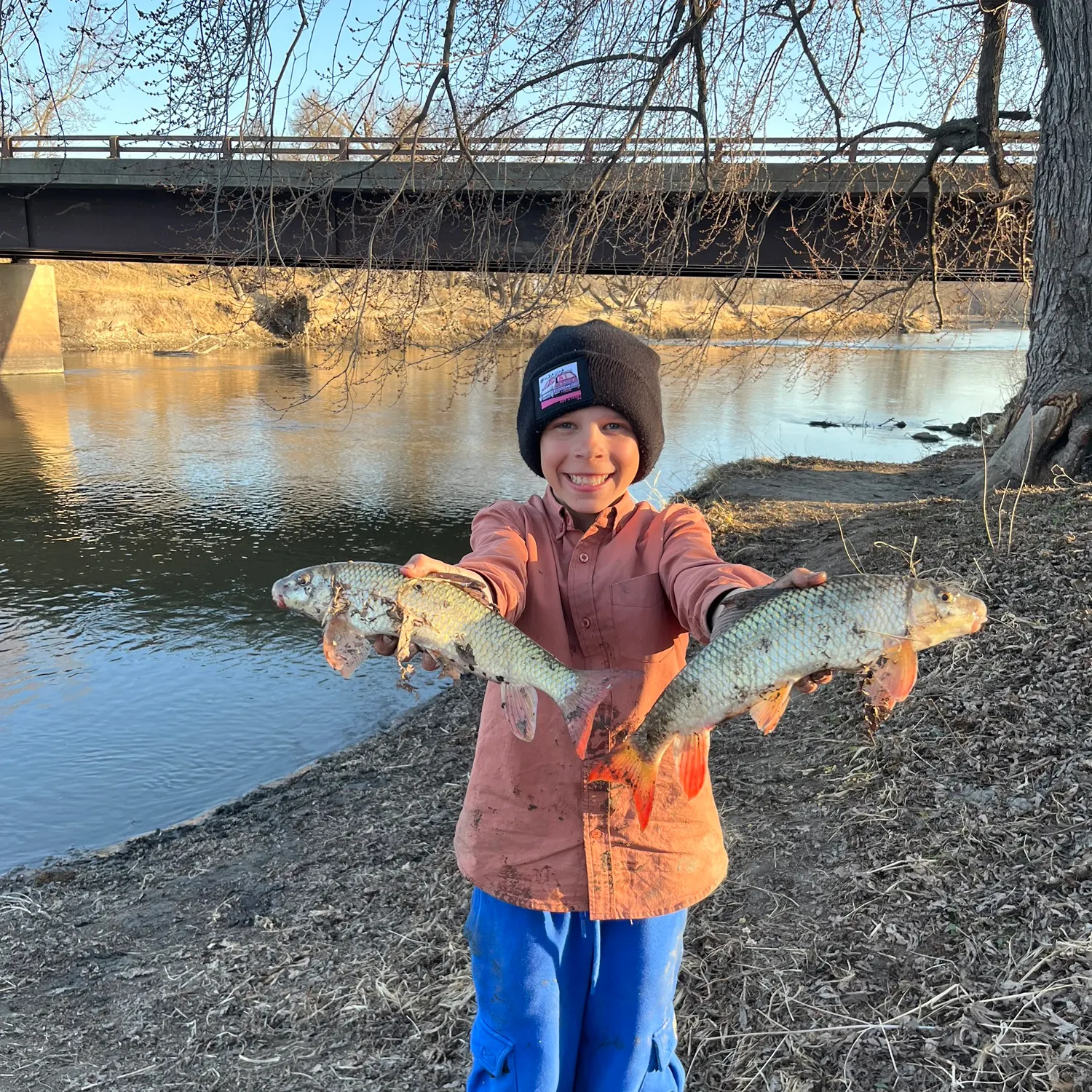 The most recent Shorthead redhorse catches on Fishbrain