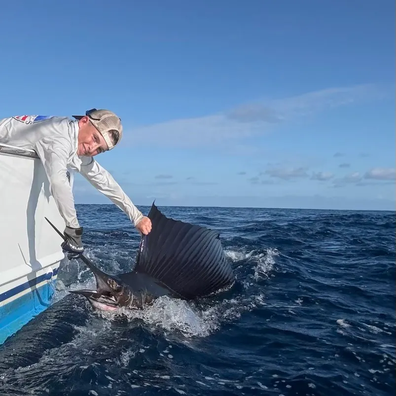 Indo-Pacific sailfish caught on Fishbrain