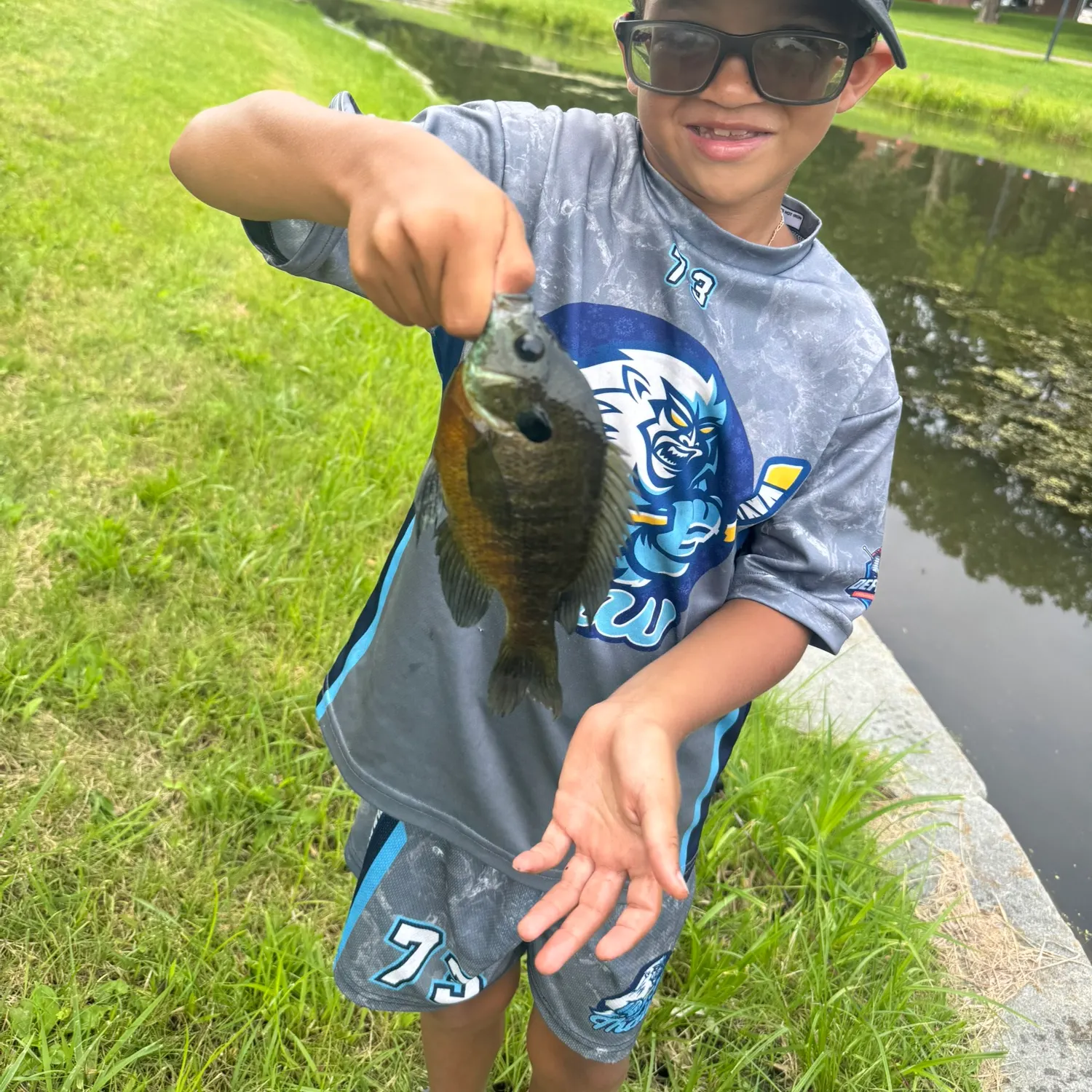 Bluegill caught on Fishbrain