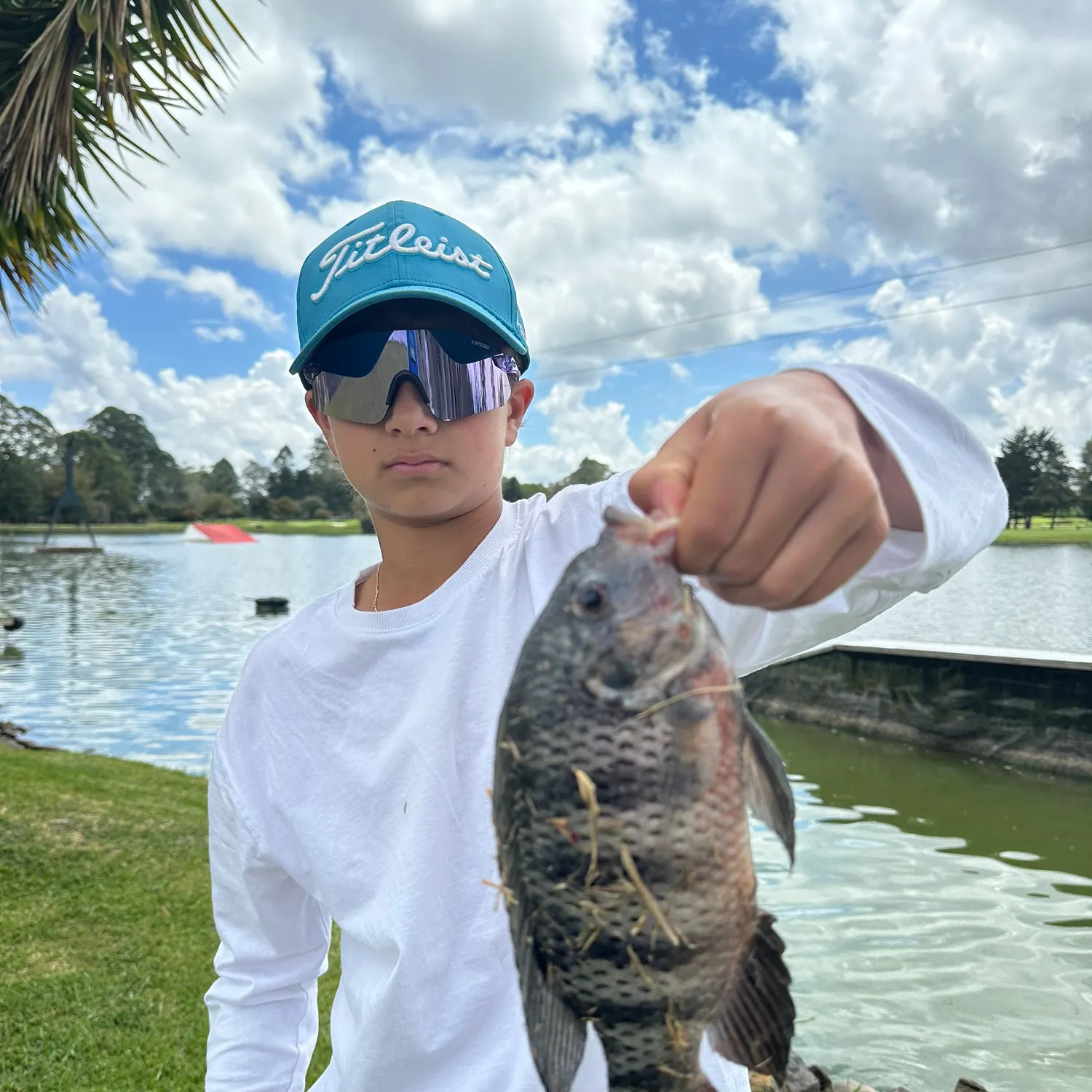 The most recent Redbreast tilapia catches on Fishbrain