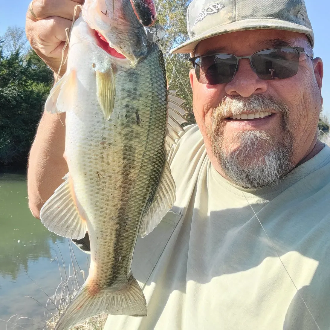 Largemouth bass caught on Fishbrain