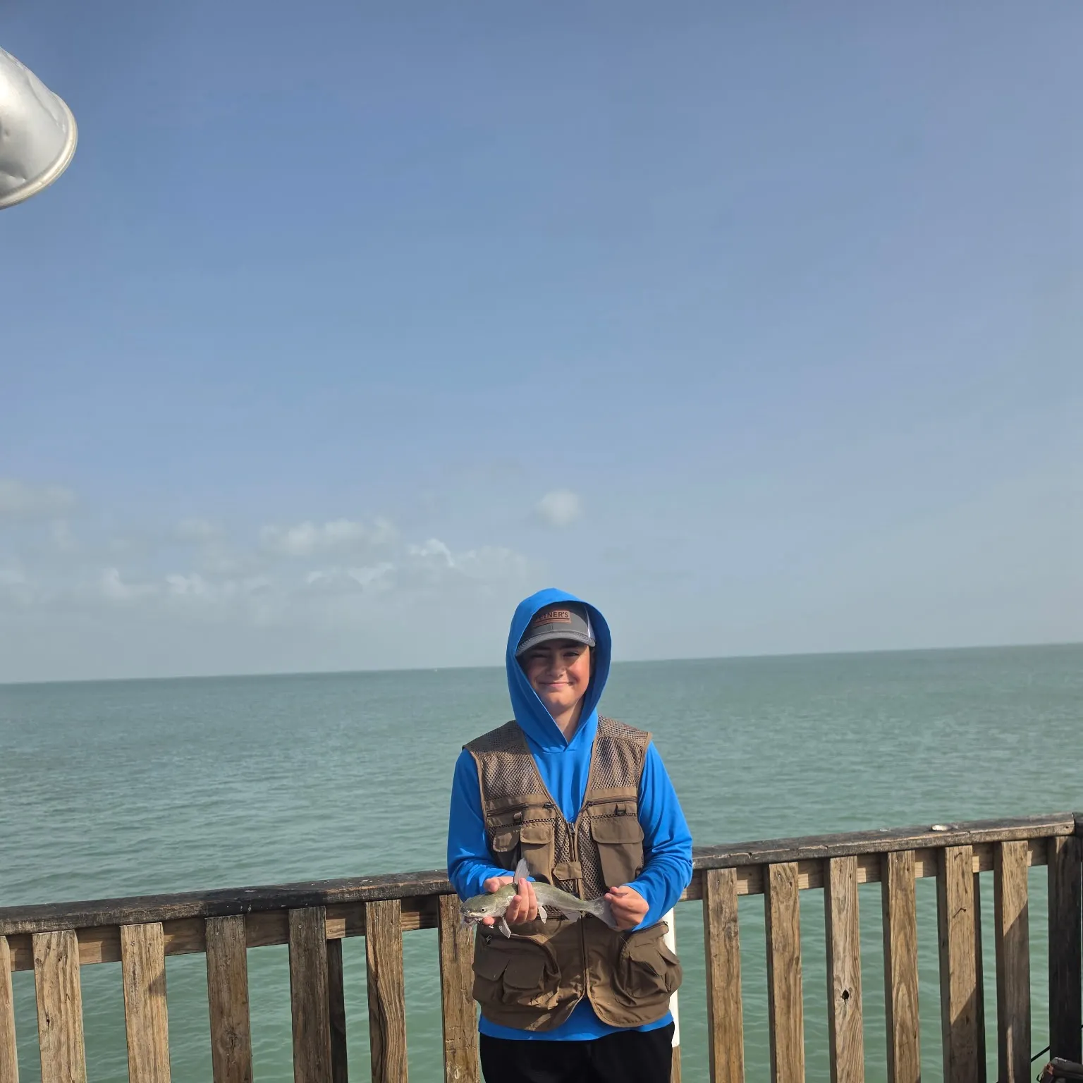 The most recent Hardhead sea catfish catches on Fishbrain