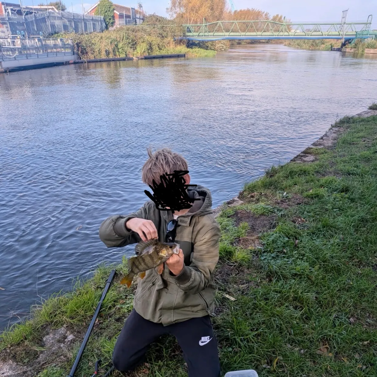 European perch caught on Fishbrain