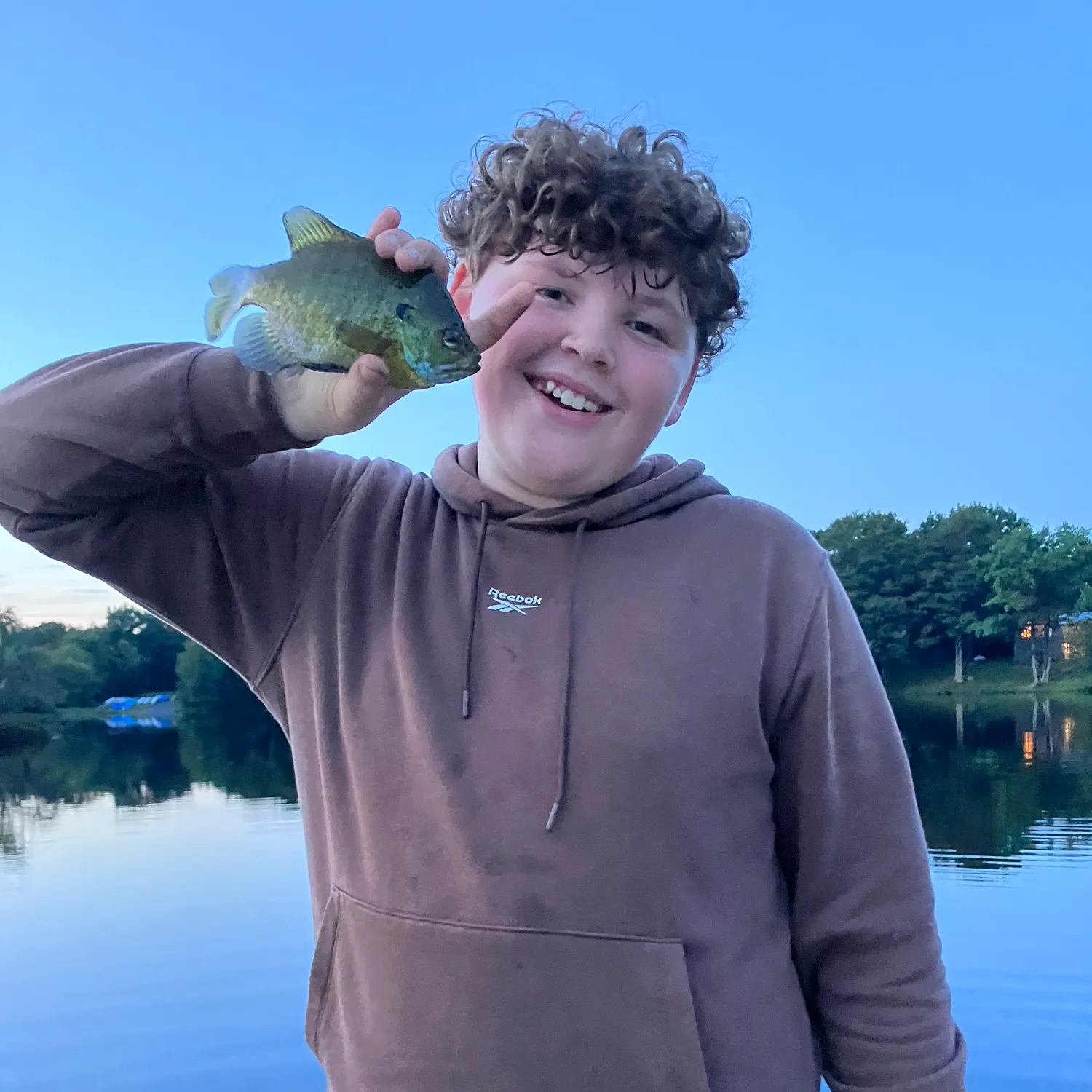 Bluegill caught on Fishbrain