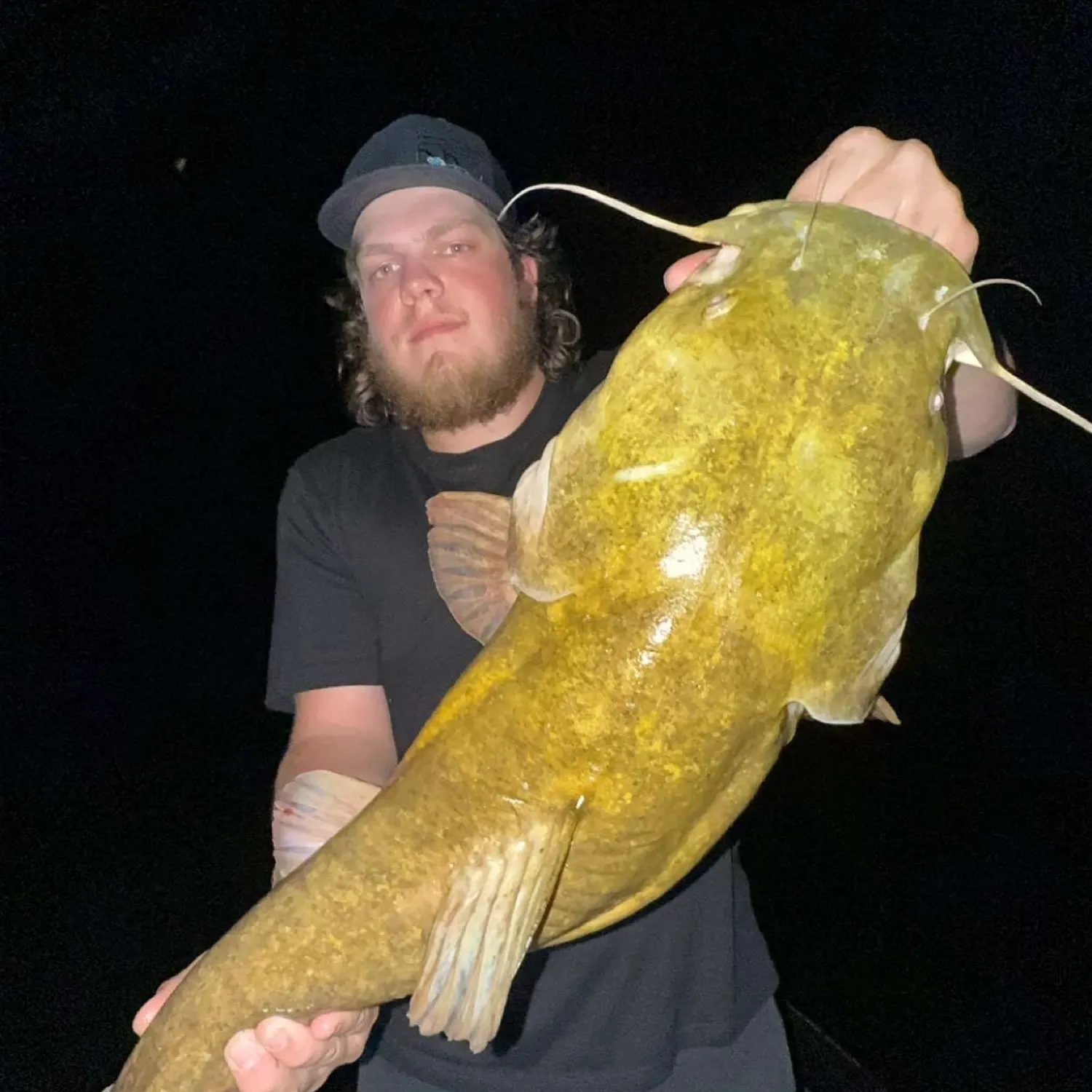 The most recent Flathead catfish catches on Fishbrain