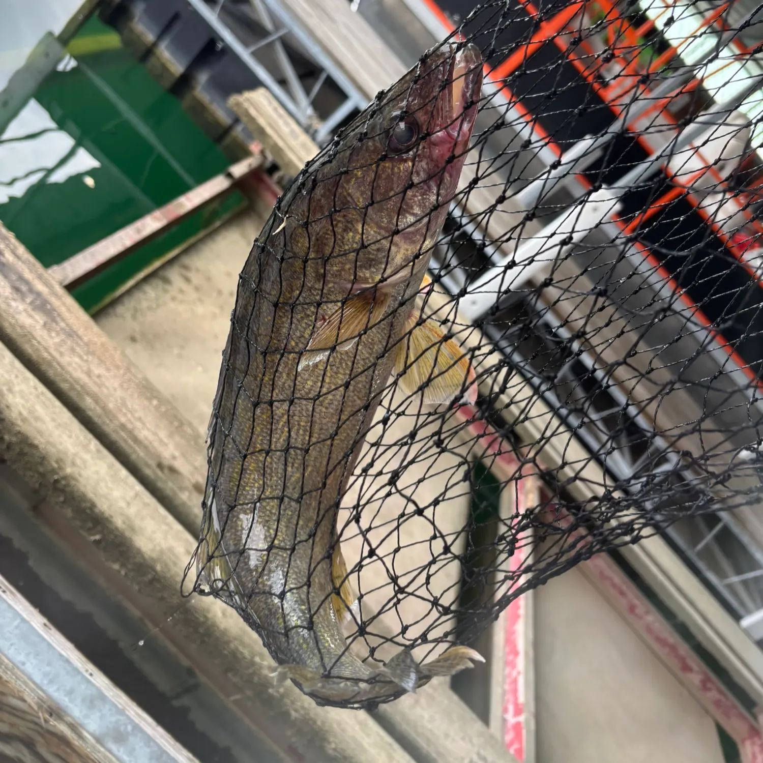 catch
