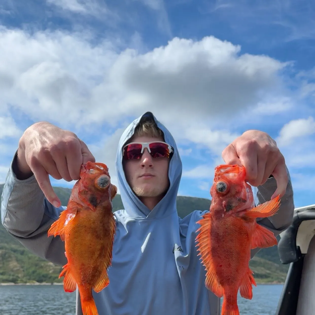 The most recent Acadian Redfish catches on Fishbrain