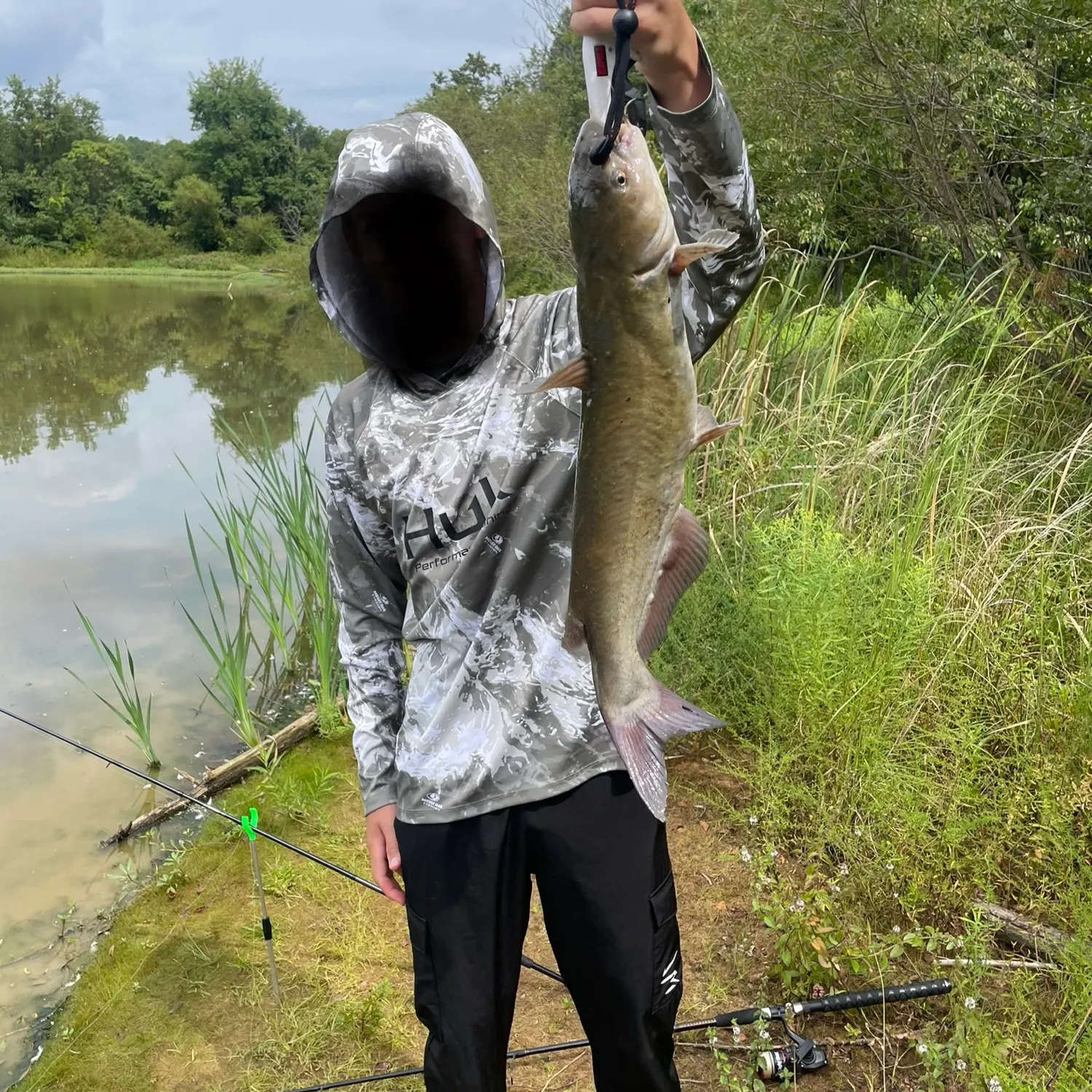 Channel catfish caught on Fishbrain