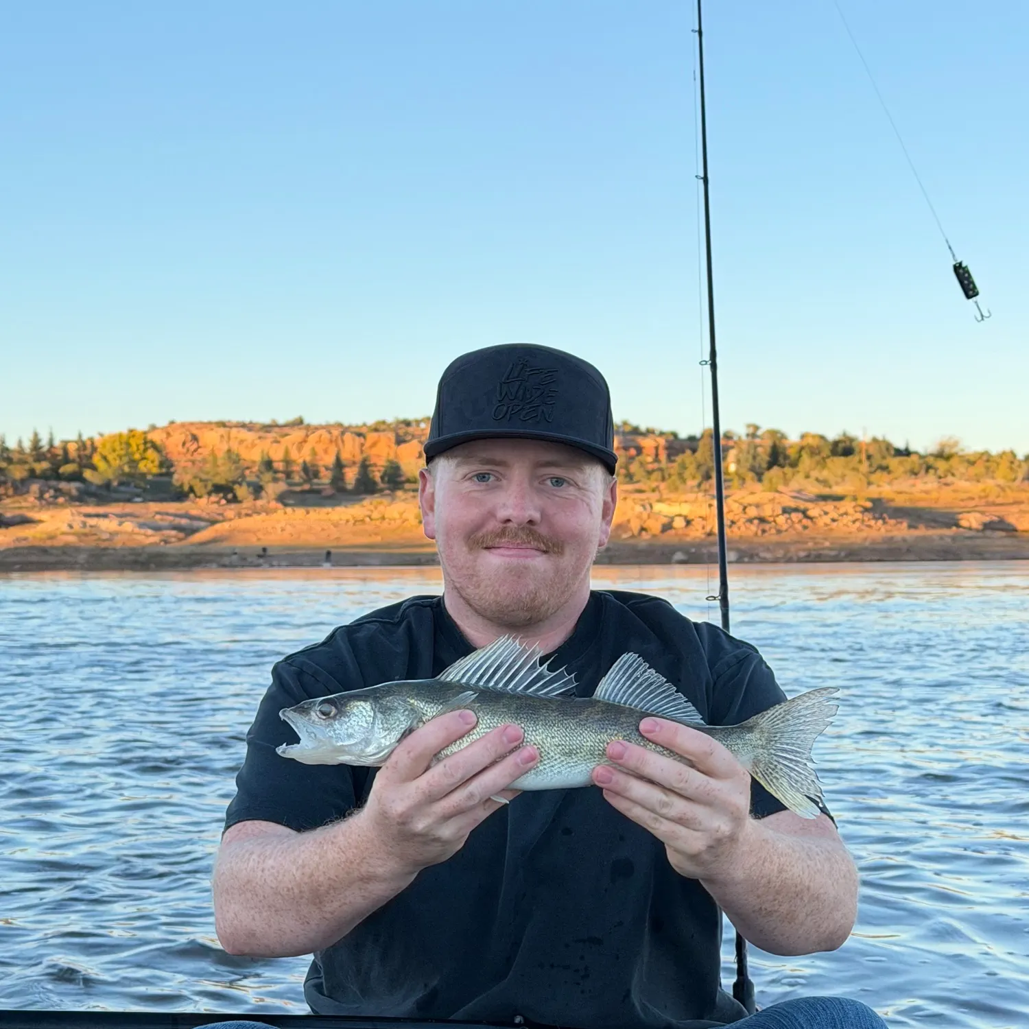 Walleye caught on Fishbrain