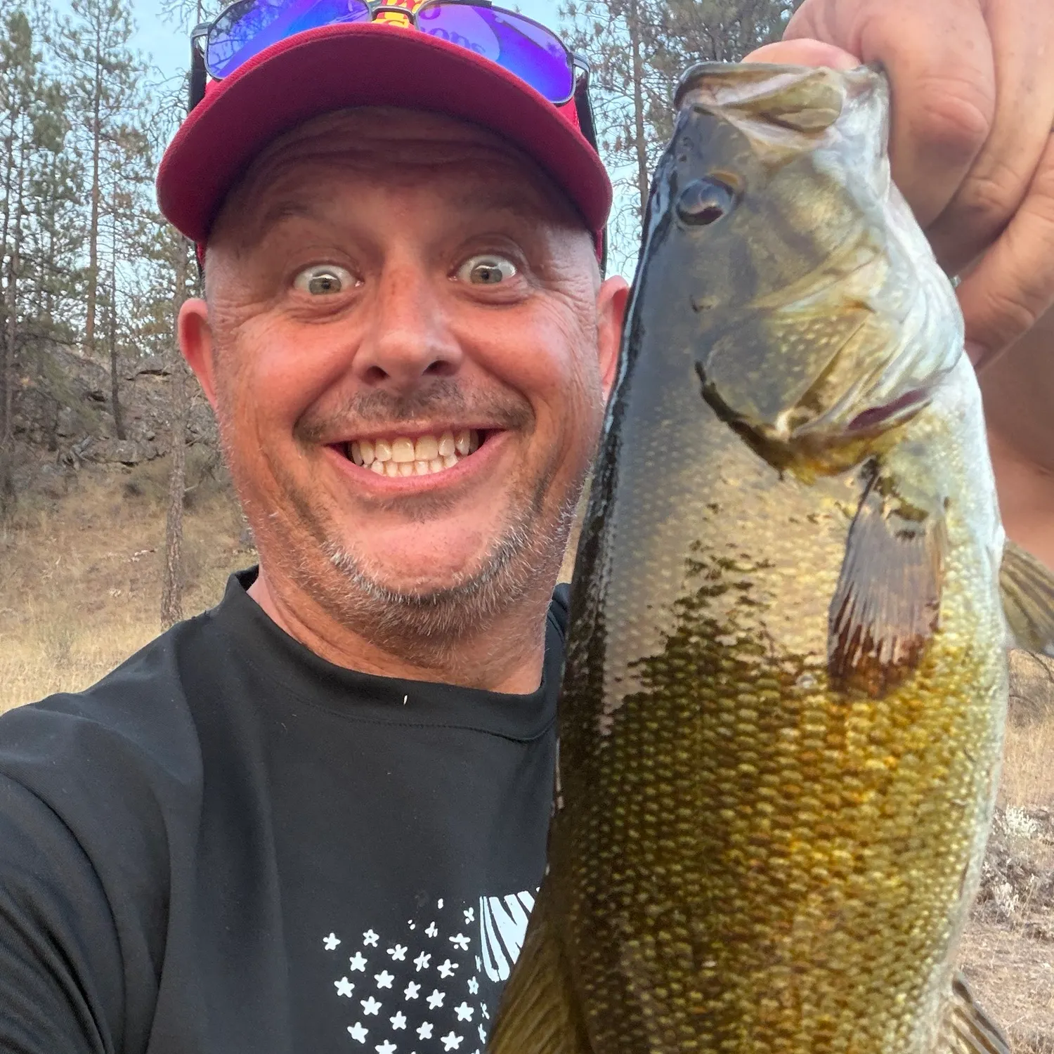 Smallmouth bass caught on Fishbrain