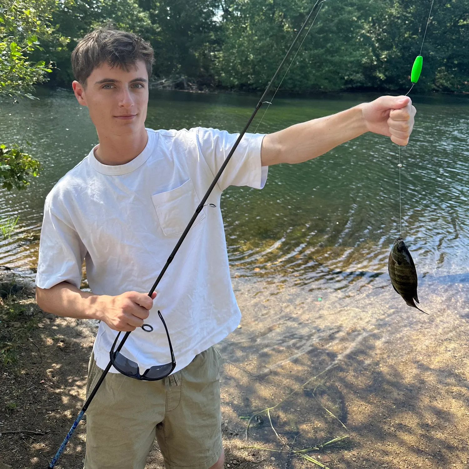 Bluegill caught on Fishbrain