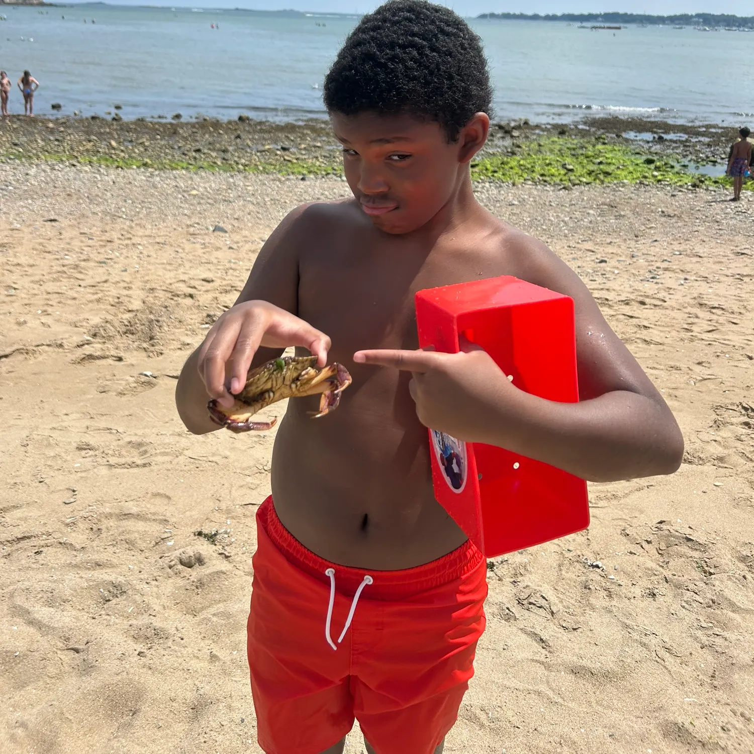 The most recent Jonah crab catches on Fishbrain