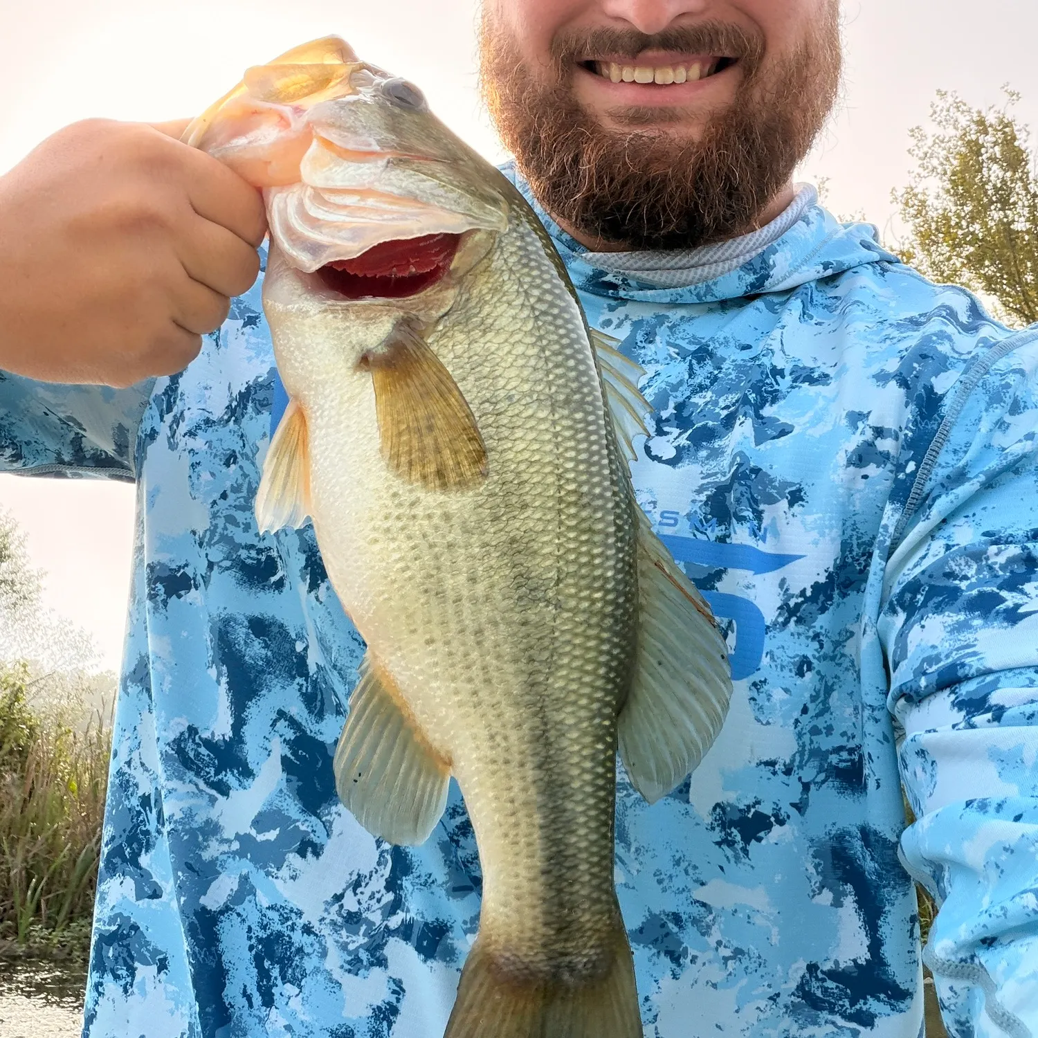 Largemouth bass caught on Fishbrain
